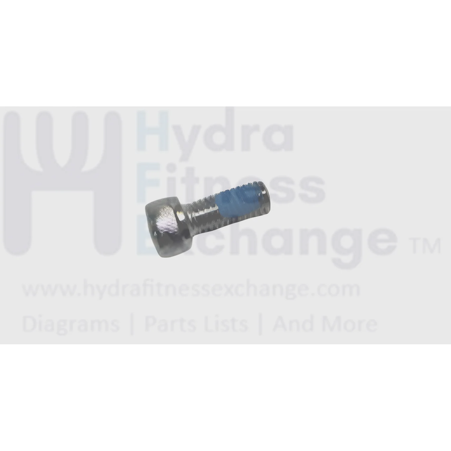 Matrix Fitness Strength System Round Head Hex Socket Screw M6 - 1.0P x 15L 1000104705