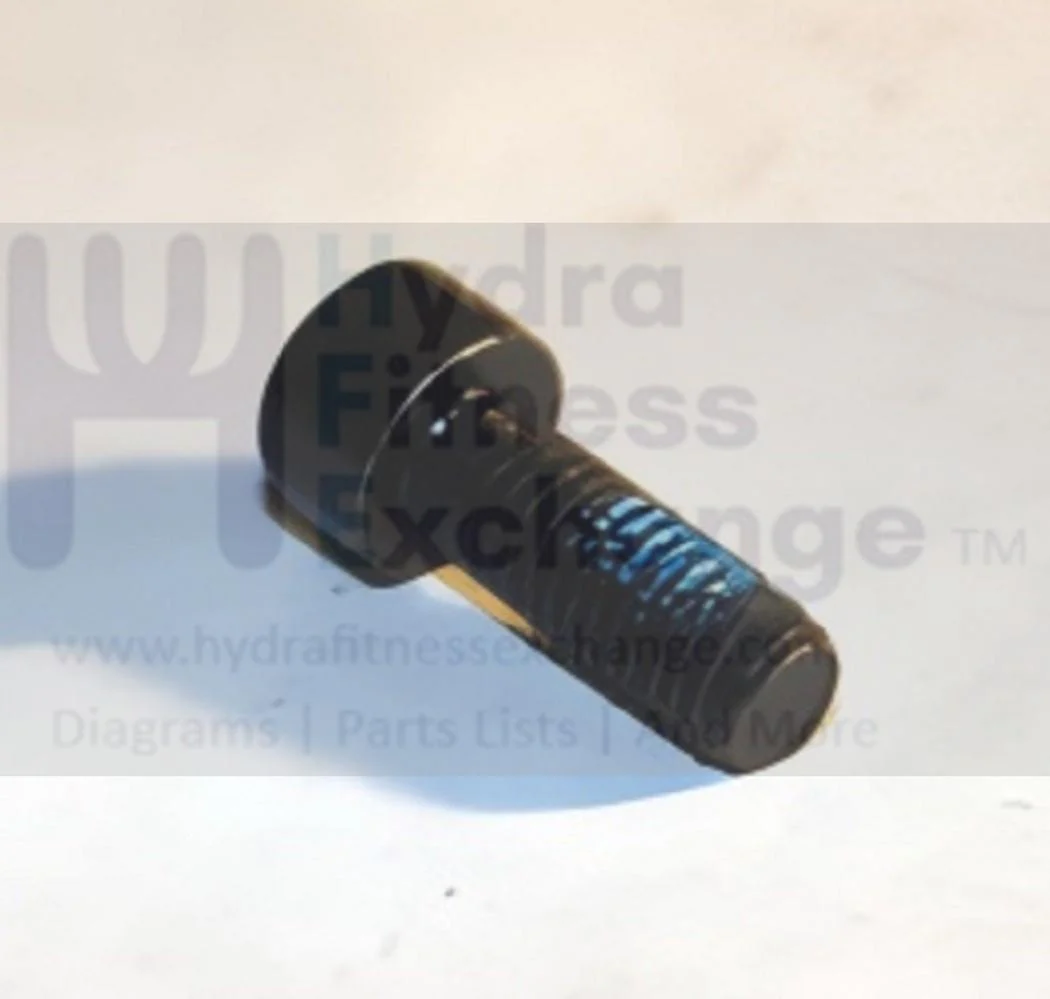 Matrix Fitness Strength System Round Head Hex Socket Screw M6 - 1.0P x 15L 991667-AG - Image 2