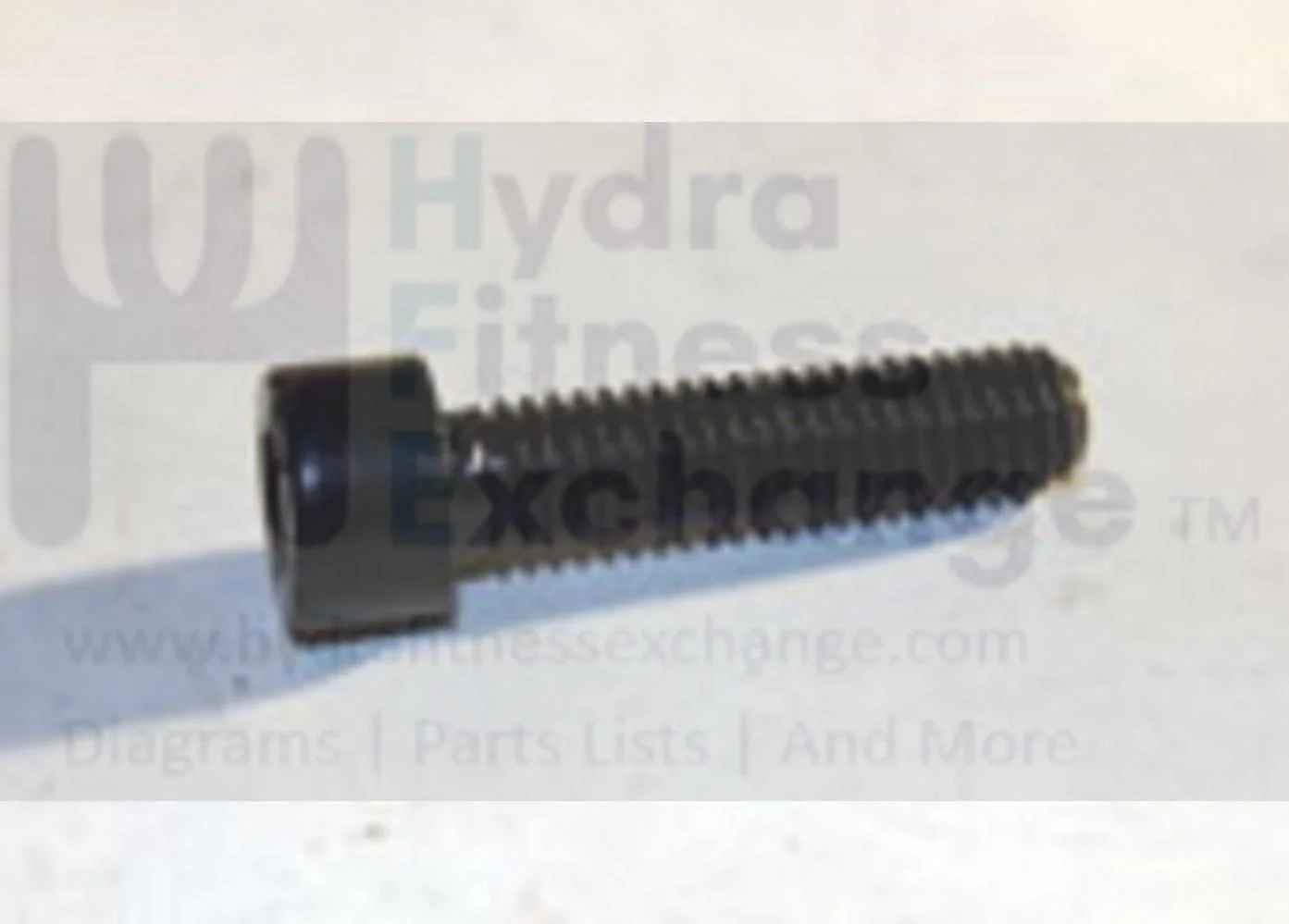 Matrix Fitness Strength System Round Head Hex Socket Screw M6 - 1.0P x 25L 1000102861