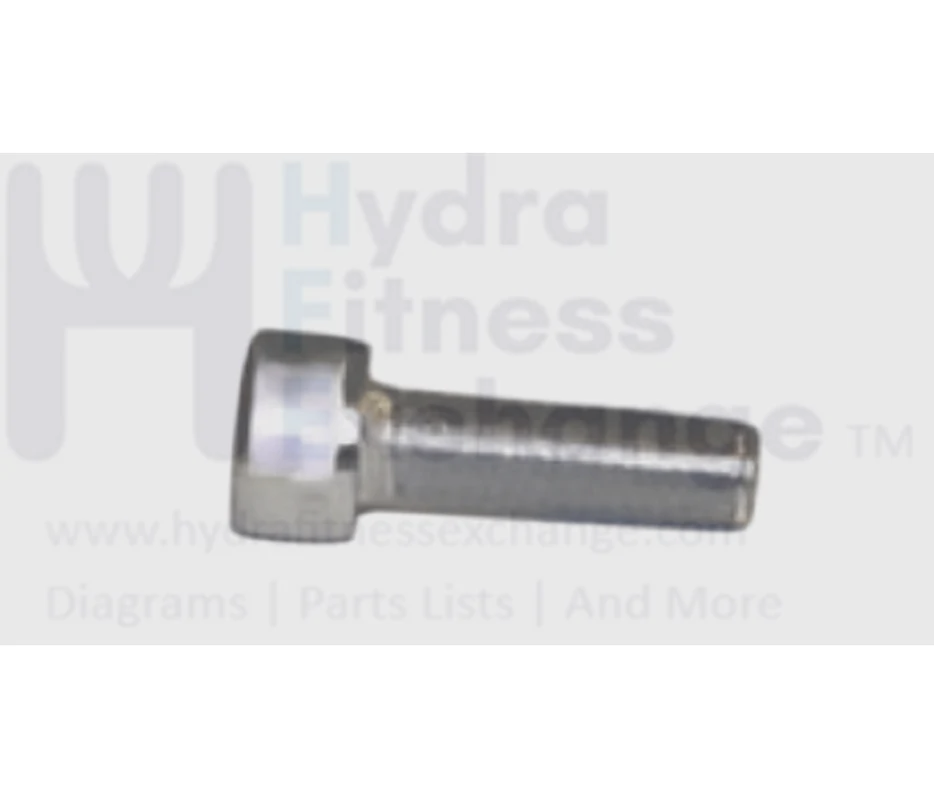 Matrix Fitness Strength System Round Head Hex Socket Screw M8 - 1.25P x 25L 1000108799