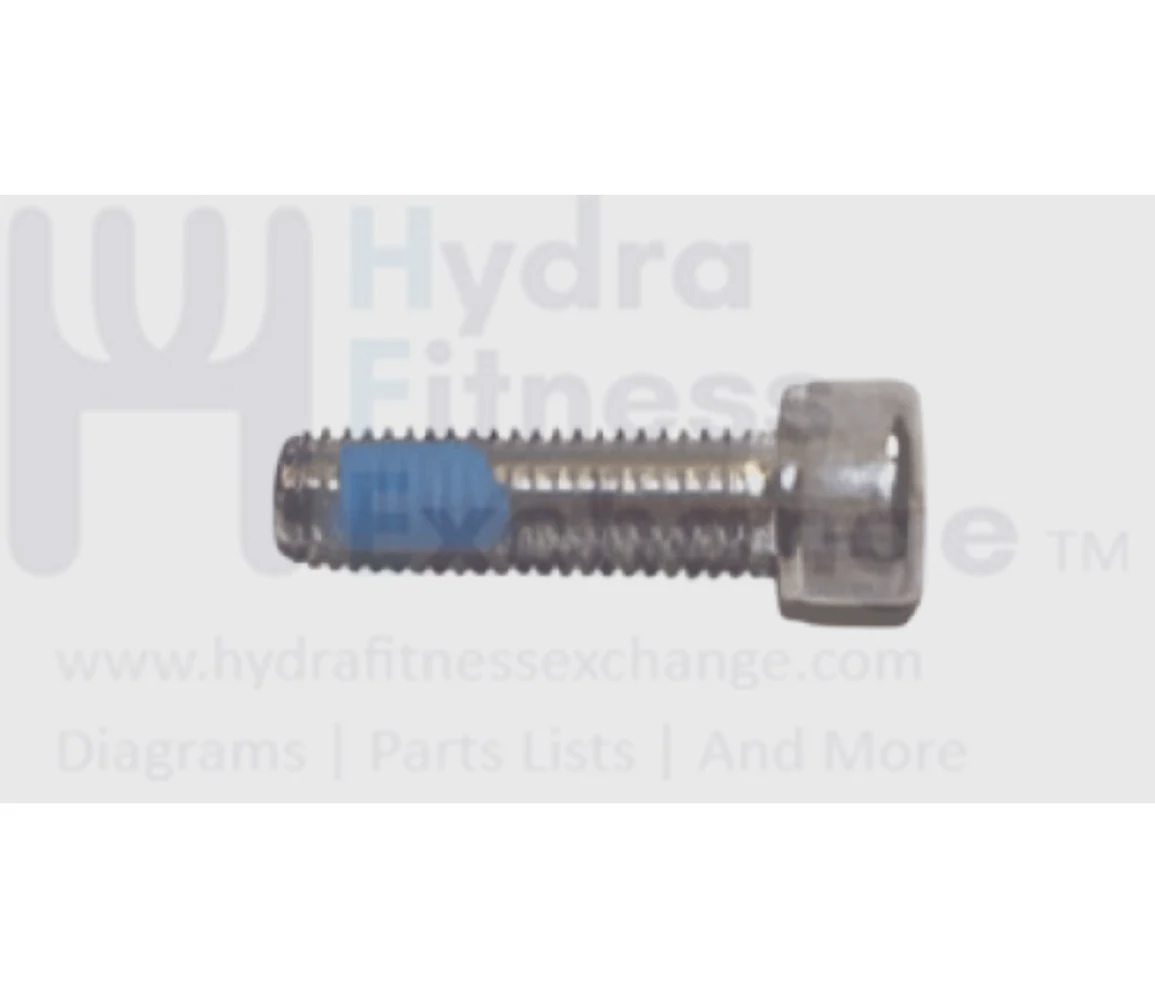Matrix Fitness Strength System Round Head Hex Socket Screw M8 - 1.25P x 30L 1000102862