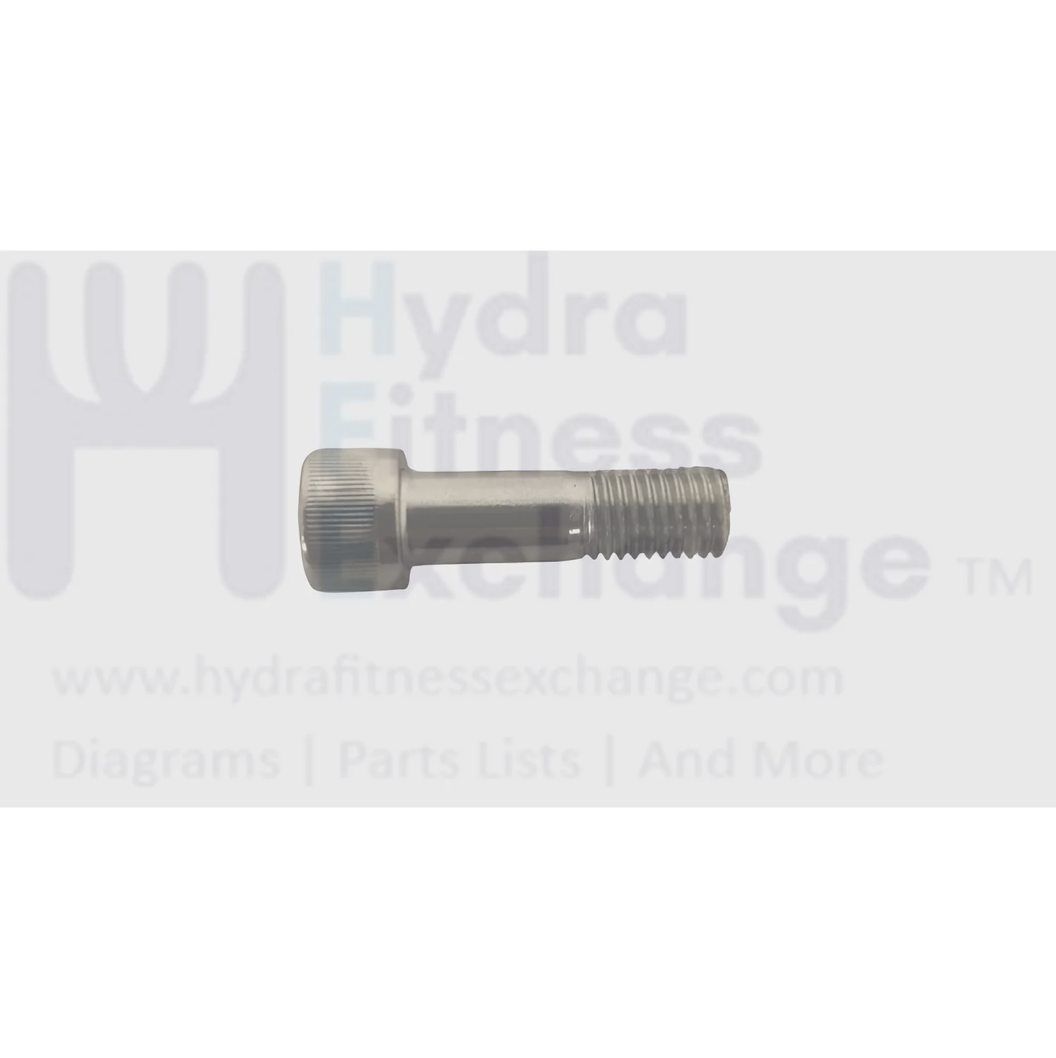 Matrix Fitness Strength System Round Head Screw M12 - 1.75P x 40L 1000416386