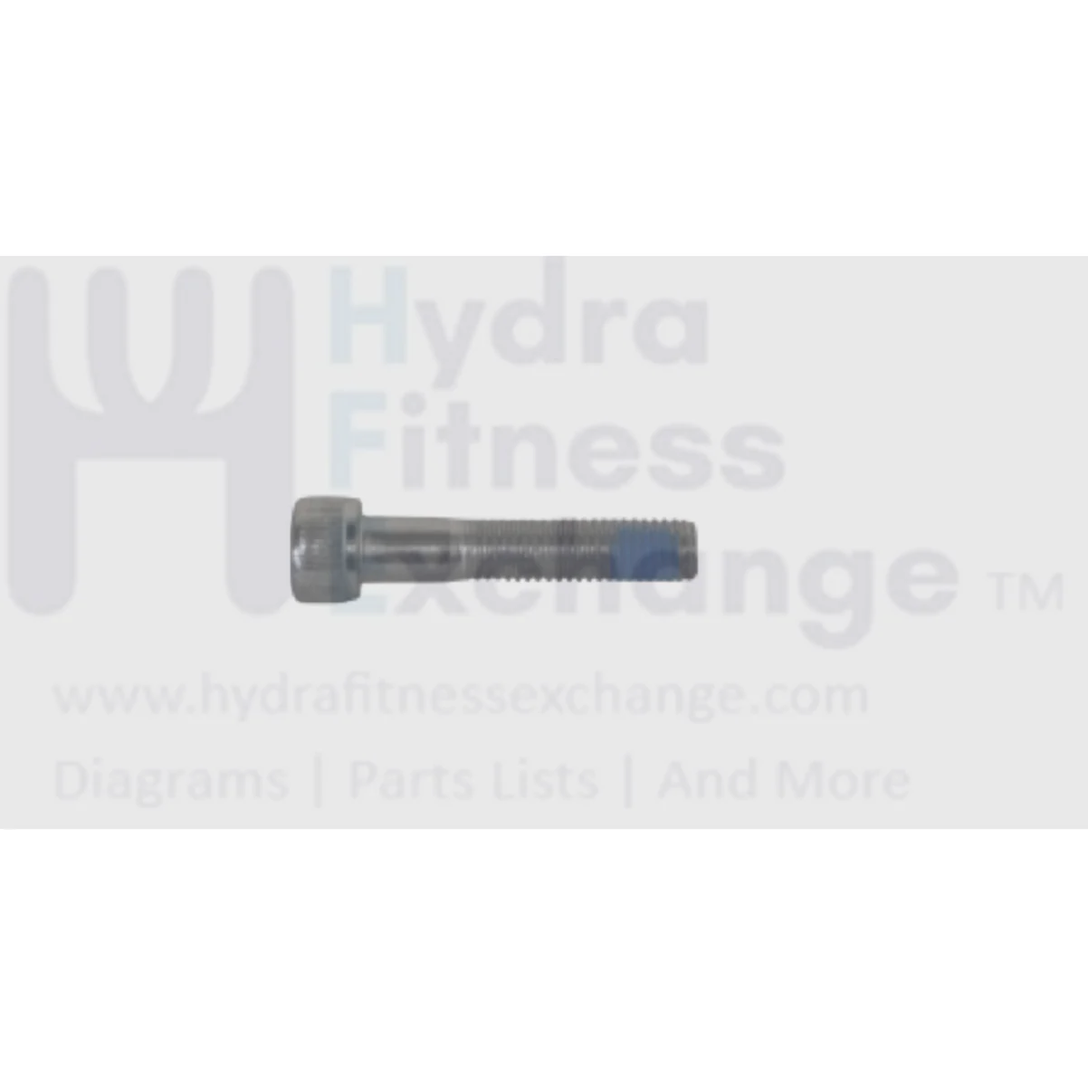 Matrix Fitness Strength System Round Hex Socket Screw M10 - 1.5P x 50L 020112-A