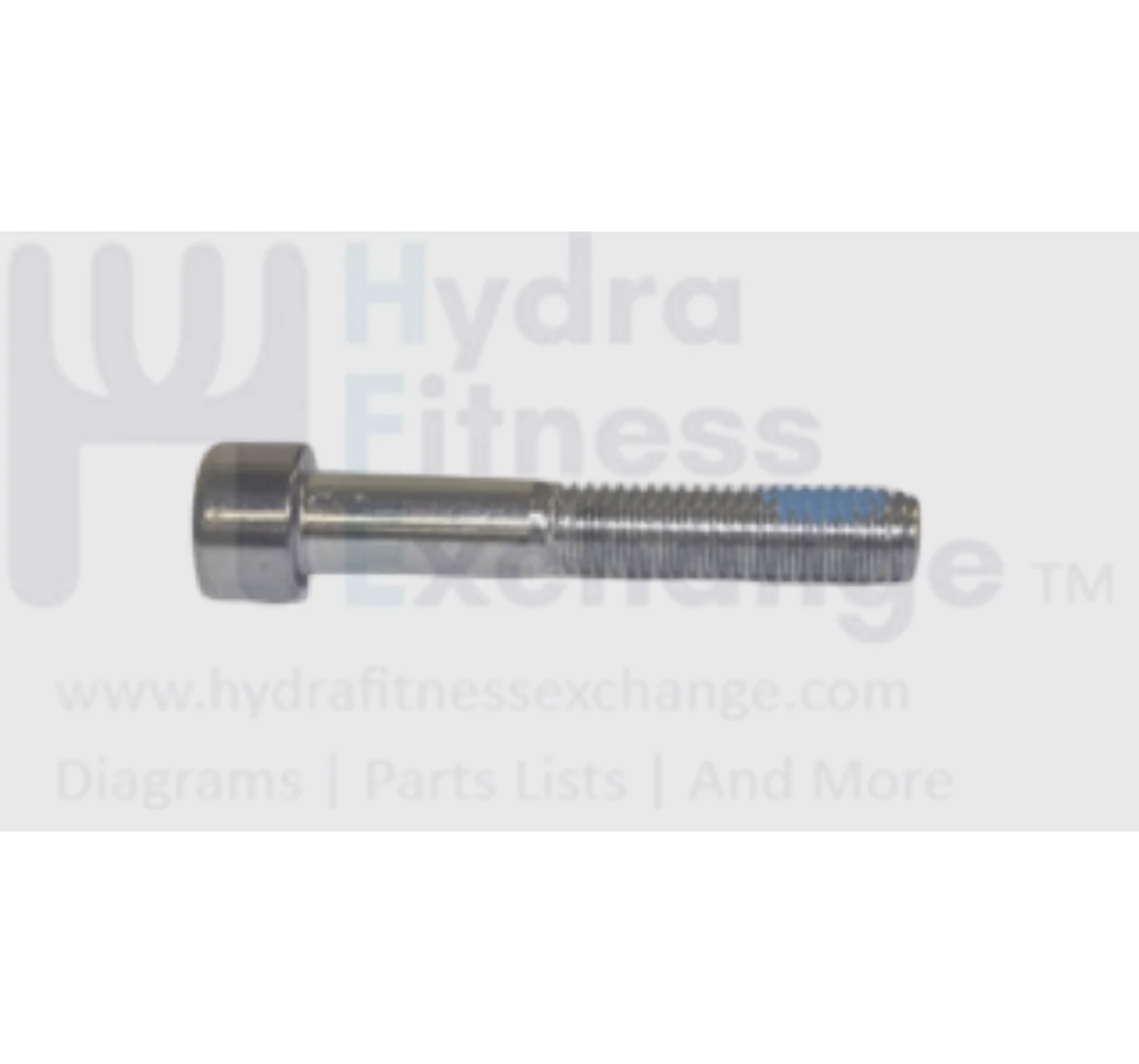 Matrix Fitness Strength System Round Hex Socket Screw M10- 1.5P x 60L 1000102864