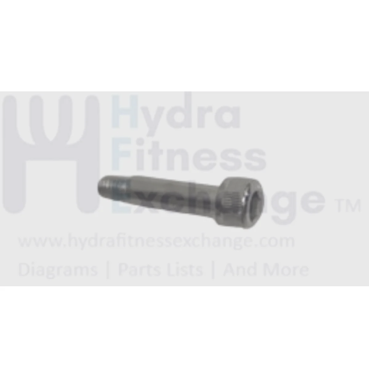 Matrix Fitness Strength System Round Hex Socket Screw M8- 1.25P x 25L 1000200876