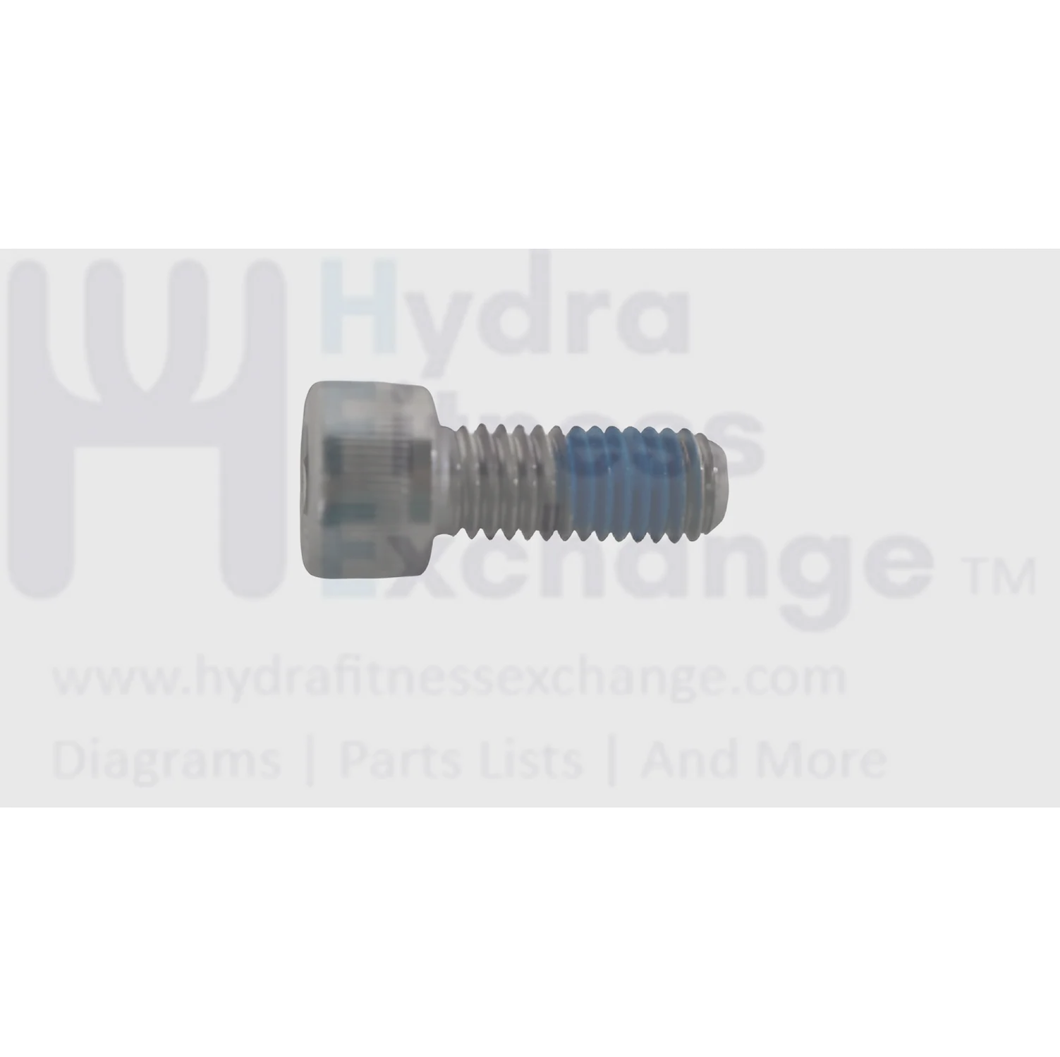 Matrix Fitness Strength System Round Hex Socket Screw M8 - 1.25P x 20L 004482-AB