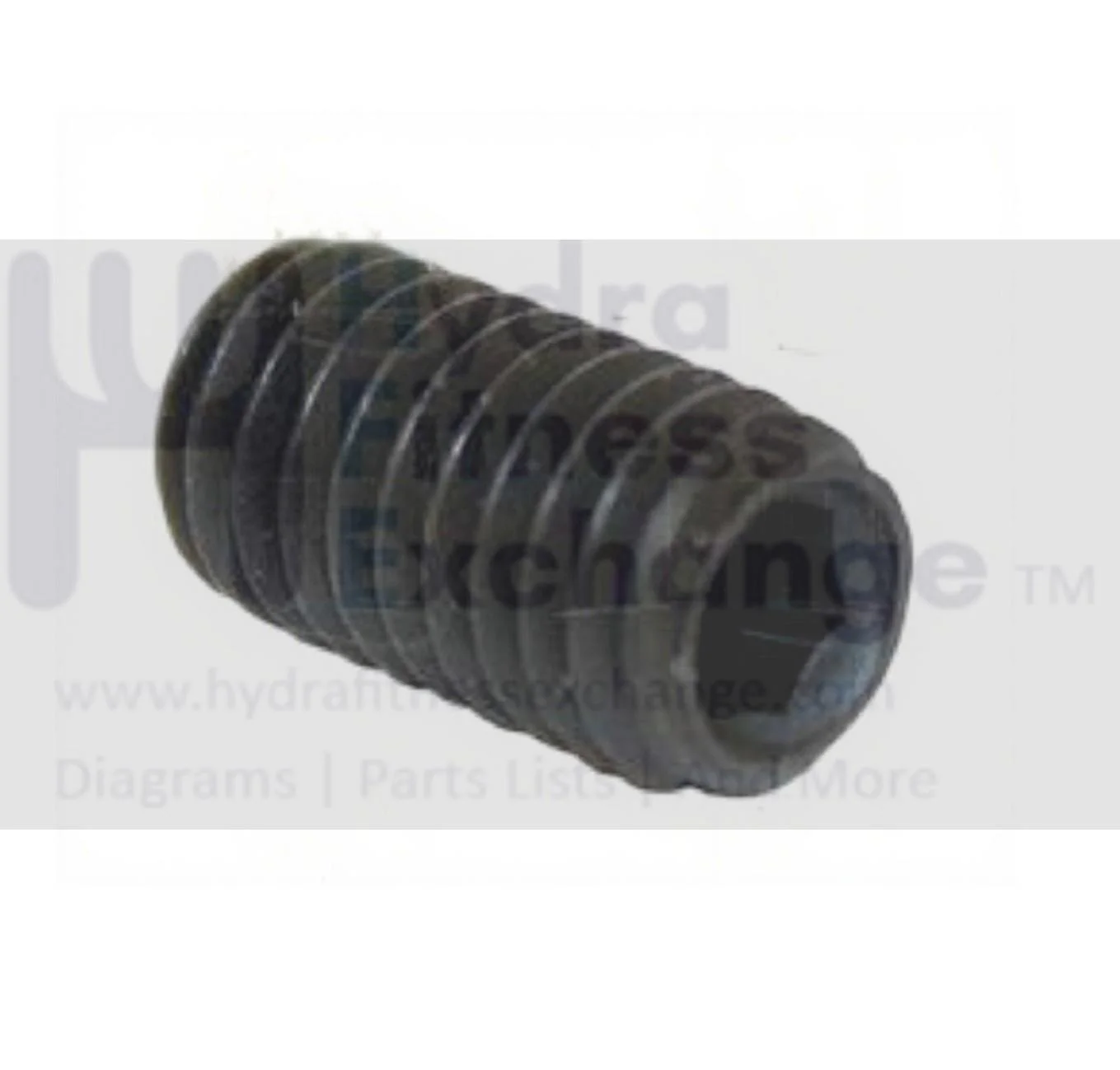 Matrix Fitness Strength System Screw Set M6 - 1.0P x 12L 020329-00