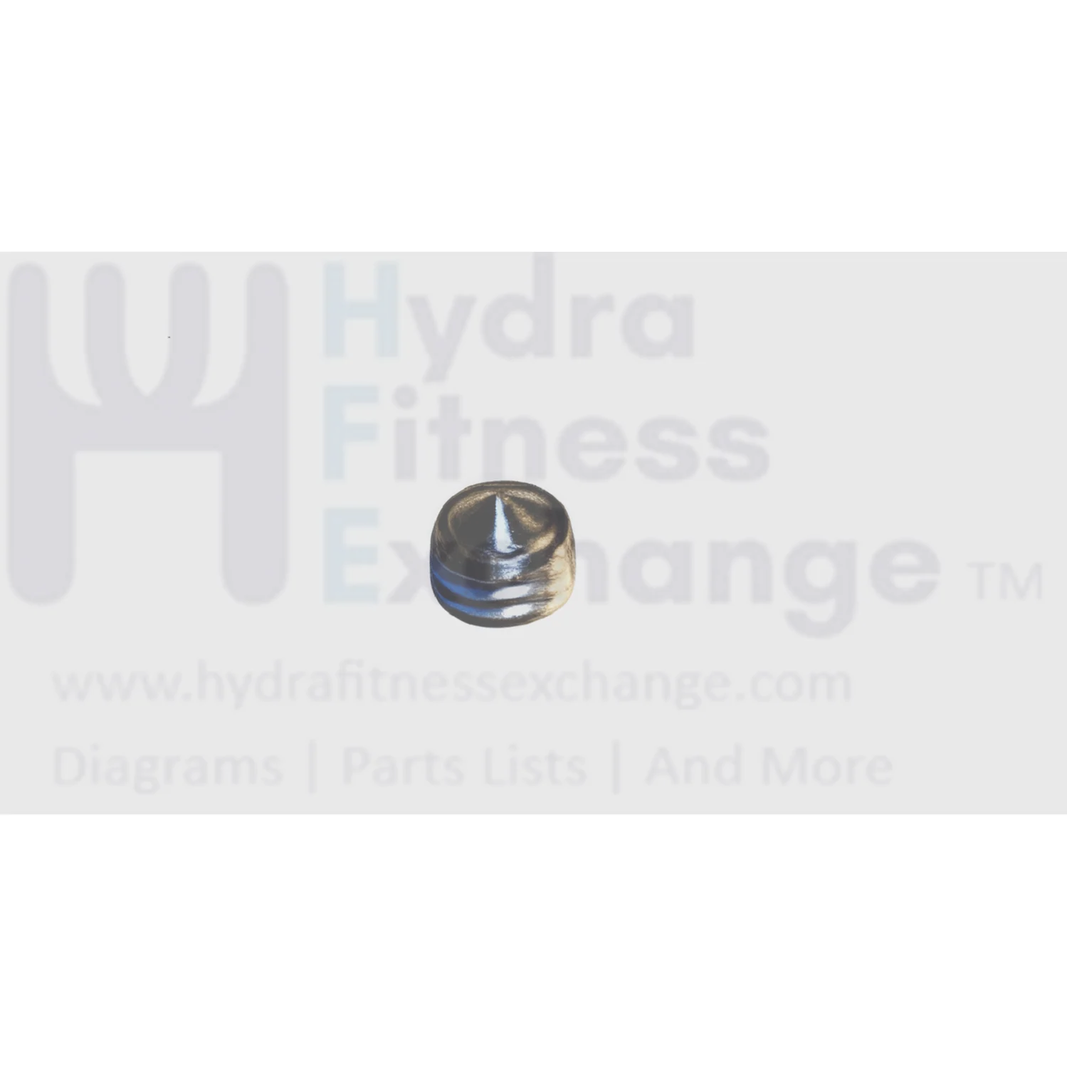 Matrix Fitness Strength System Screw Set M6 - 1.0P x 4L 004855-AC