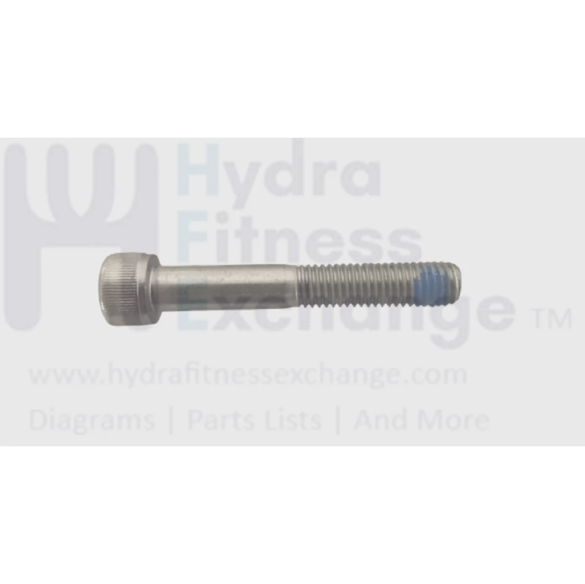 Matrix Fitness Strength System Head Socket Screw M10 - 1.5P x 65L 004530-AC