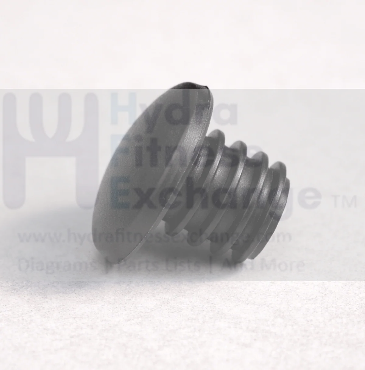 Matrix Fitness Strength System Weight Plate Endcap 1000098476 - Image 2