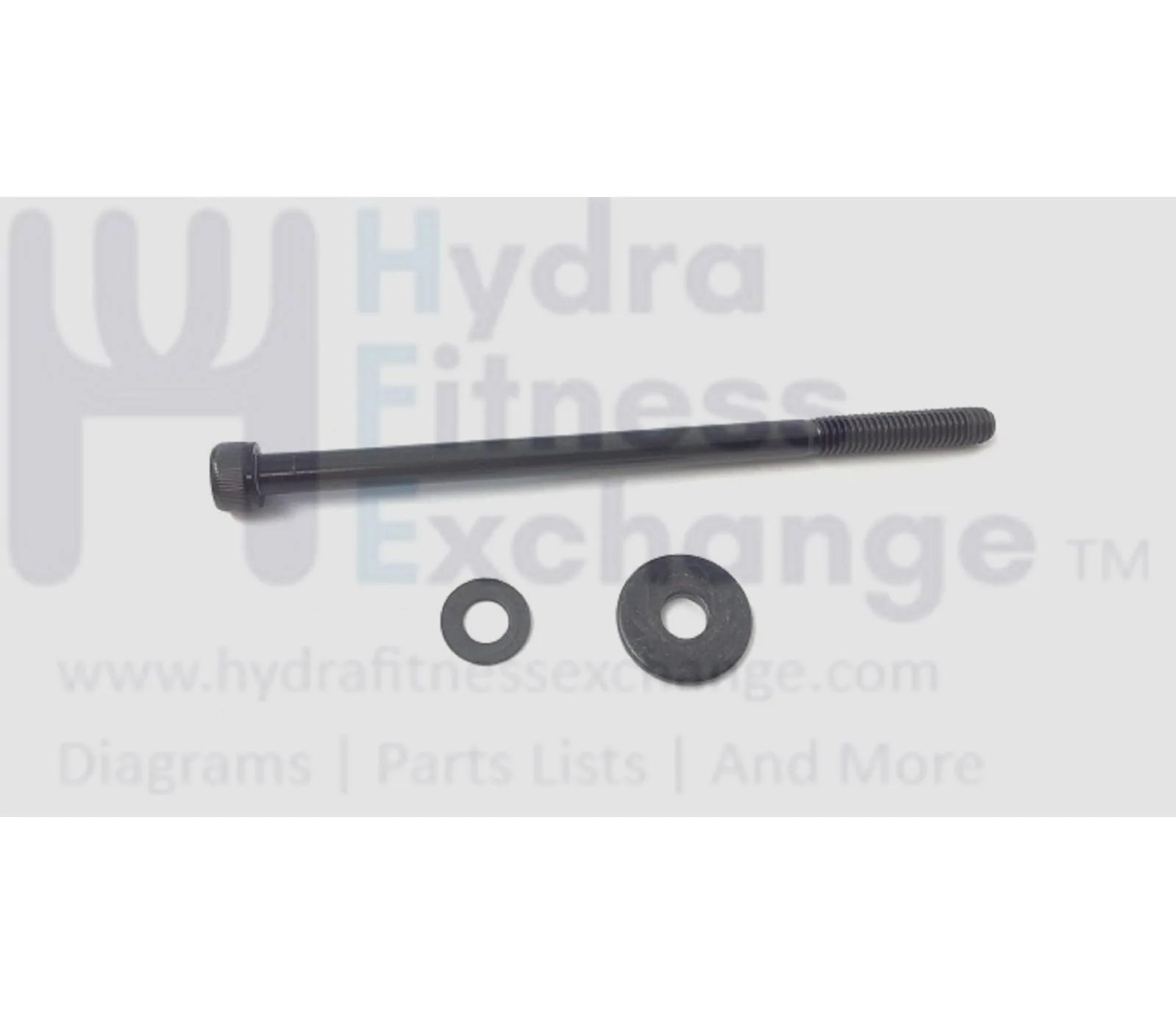 Matrix Fitness T1xe T3xe Treadmill Socket Head Screw M6 X 1.0 X 110mm 0000089153 - Image 2