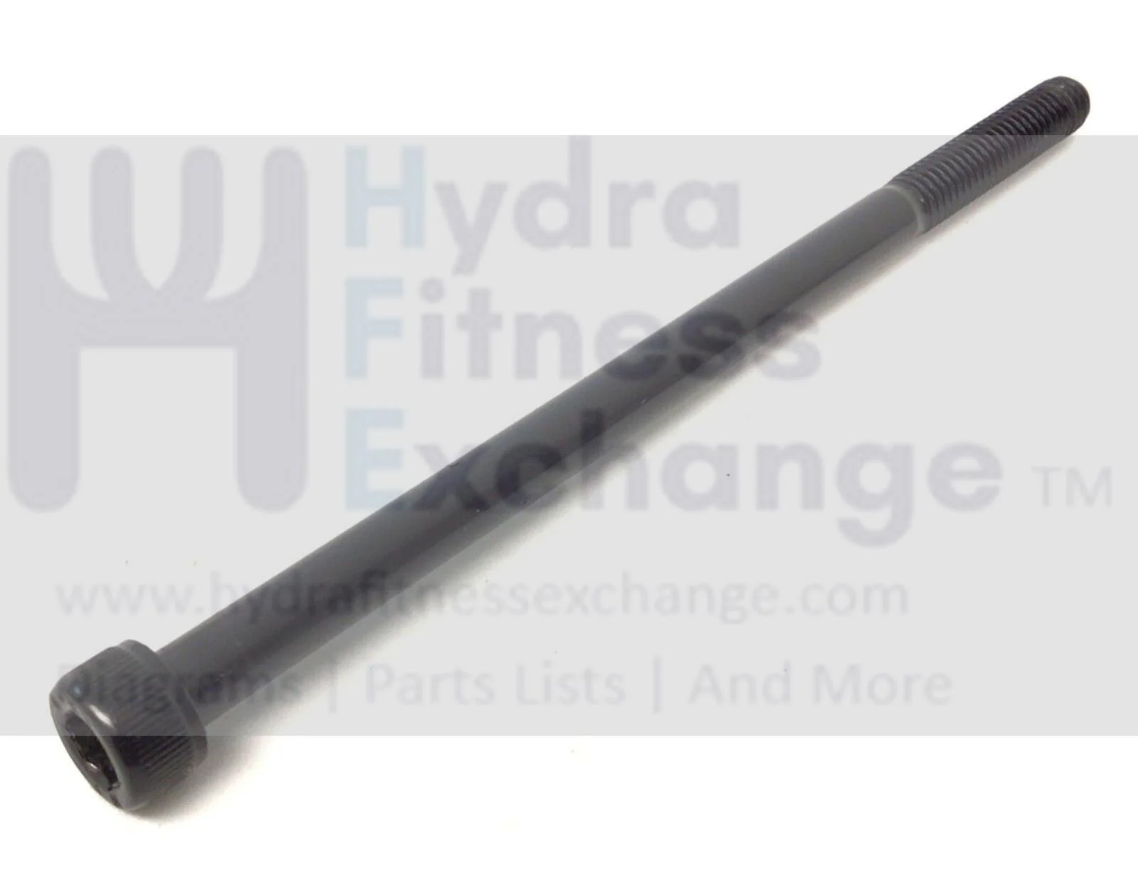 Used Matrix Fitness T1xe T3xe Treadmill Socket Head Screw M6 X 1.0 X 110mm 0000089153