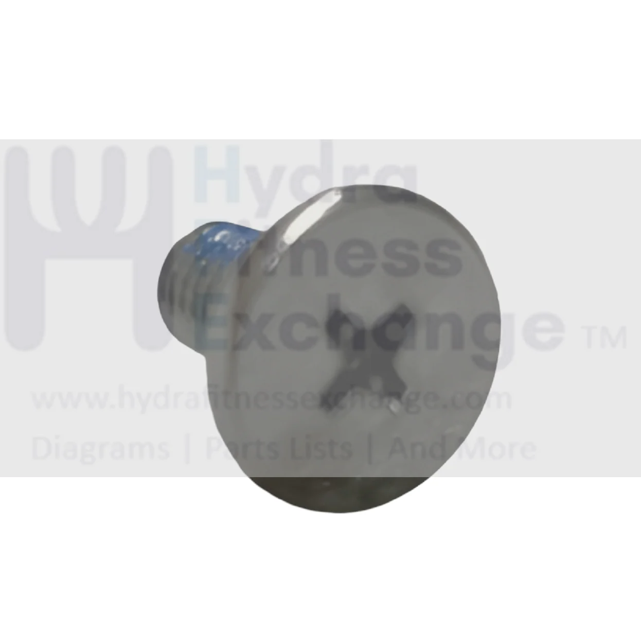 Matrix Fitness TM529 Treadmill Phillip Head Chrome Screw M5 - 0.8P x 10L 1000412364