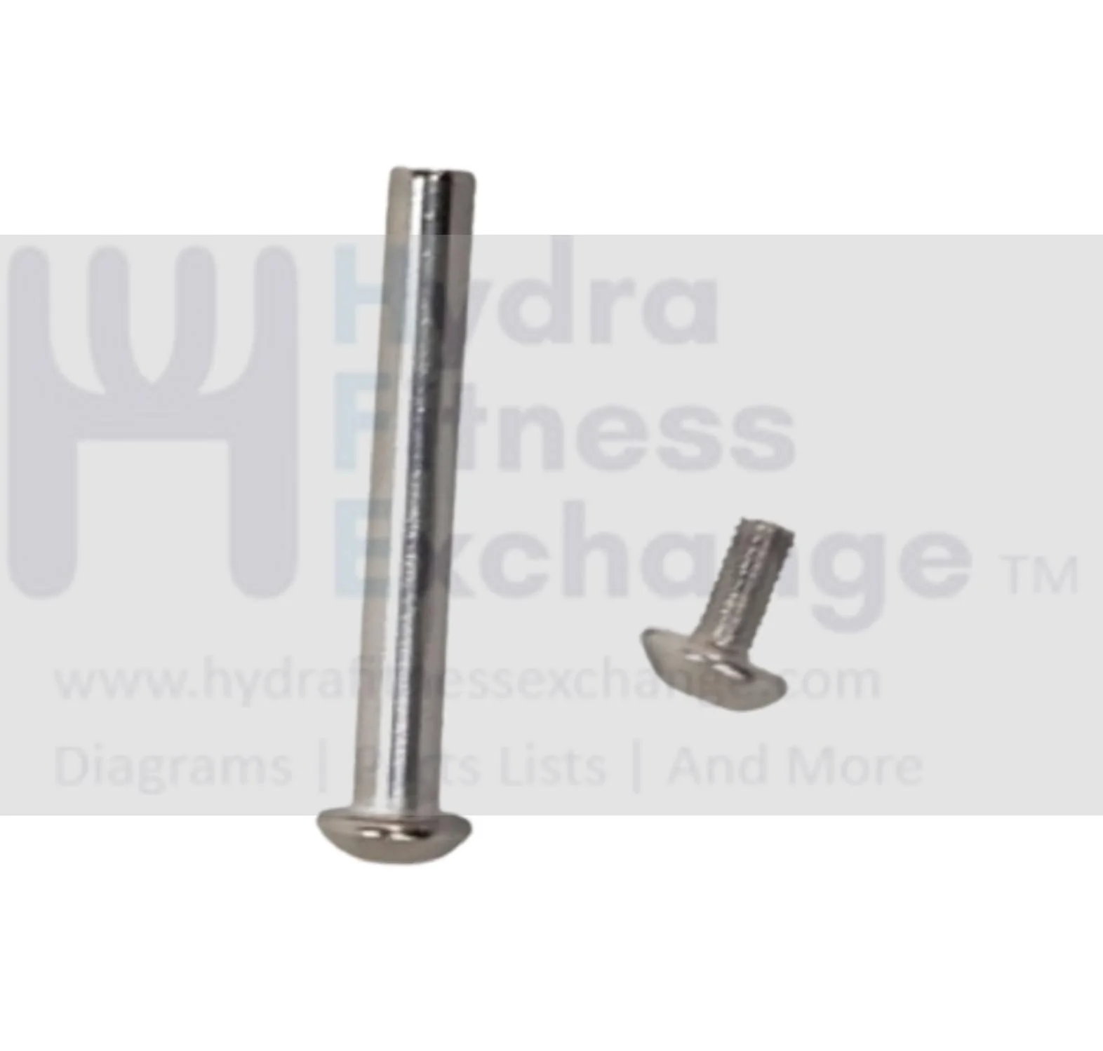 Matrix Fitness TM533 TM535C TM534 Treadmill Button Head Hex Socket Screw M5 - 1.0P x 56.5L 1000402711