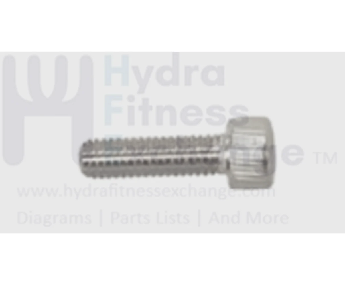 Matrix Fitness TM533 TM535C TM534 Treadmill Round Head Hex Socket Screw M6 - 1.0P x 20L 1000402135