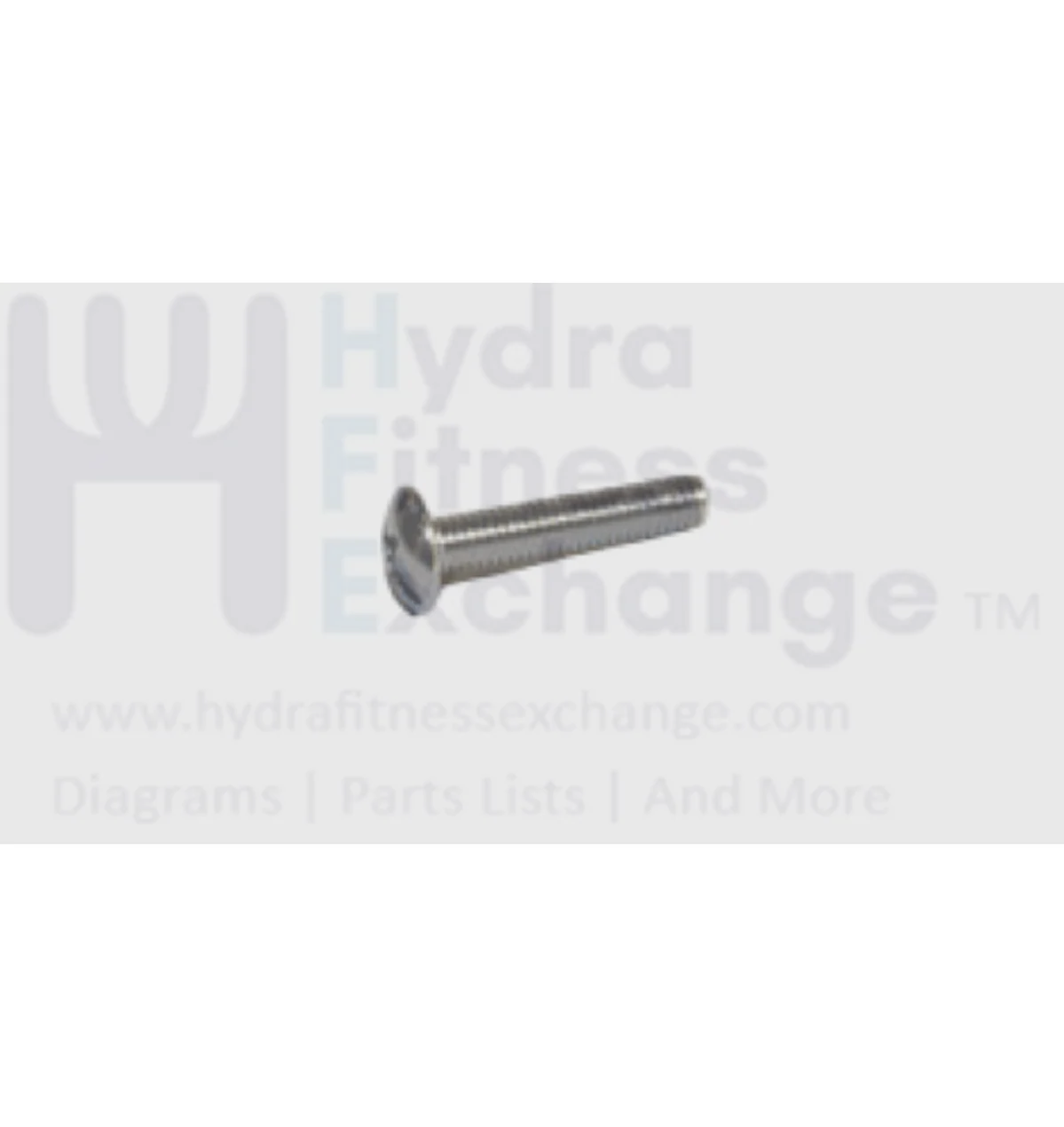 Matrix Fitness Treadmill Button Head Bolt M4 x 20 004411-AB