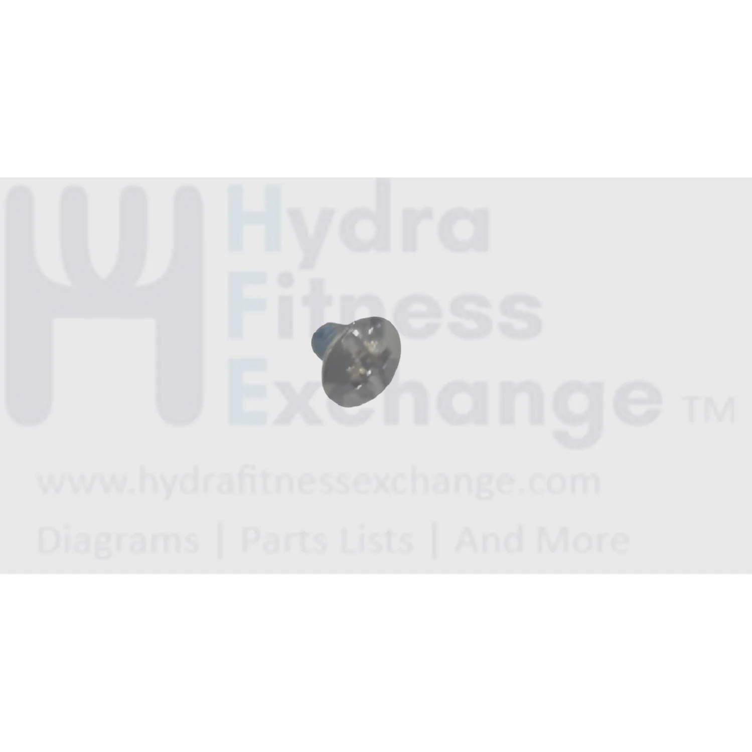 Matrix Fitness Treadmill Button Head Phillip Screw M3 - 0.5P x 4L 1000313991