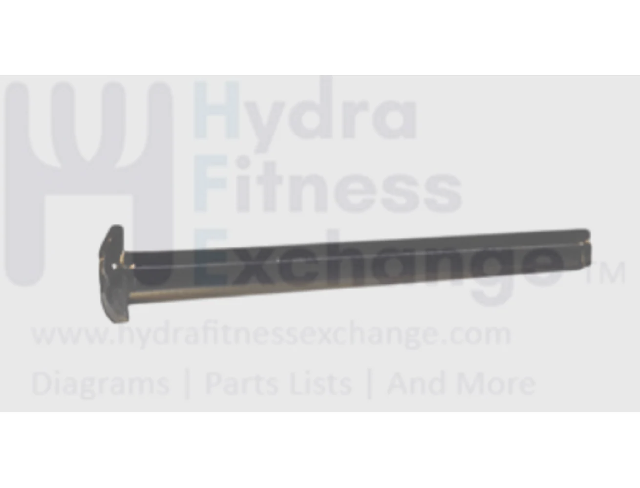 Matrix Fitness Treadmill Button Head Phillip Screw M4 - 0.7P x 40L 1000212621