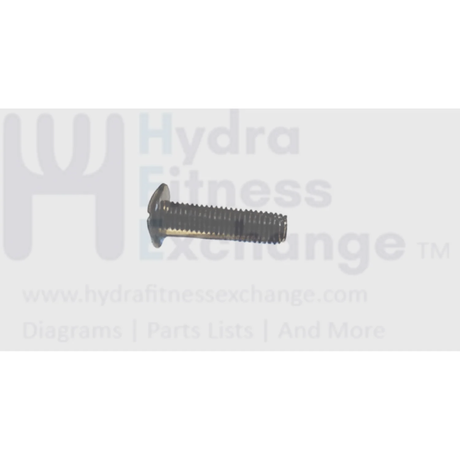 Matrix Fitness Treadmill Button Head Phillip Screw M5 - 0.8P x 20L 004409-AB