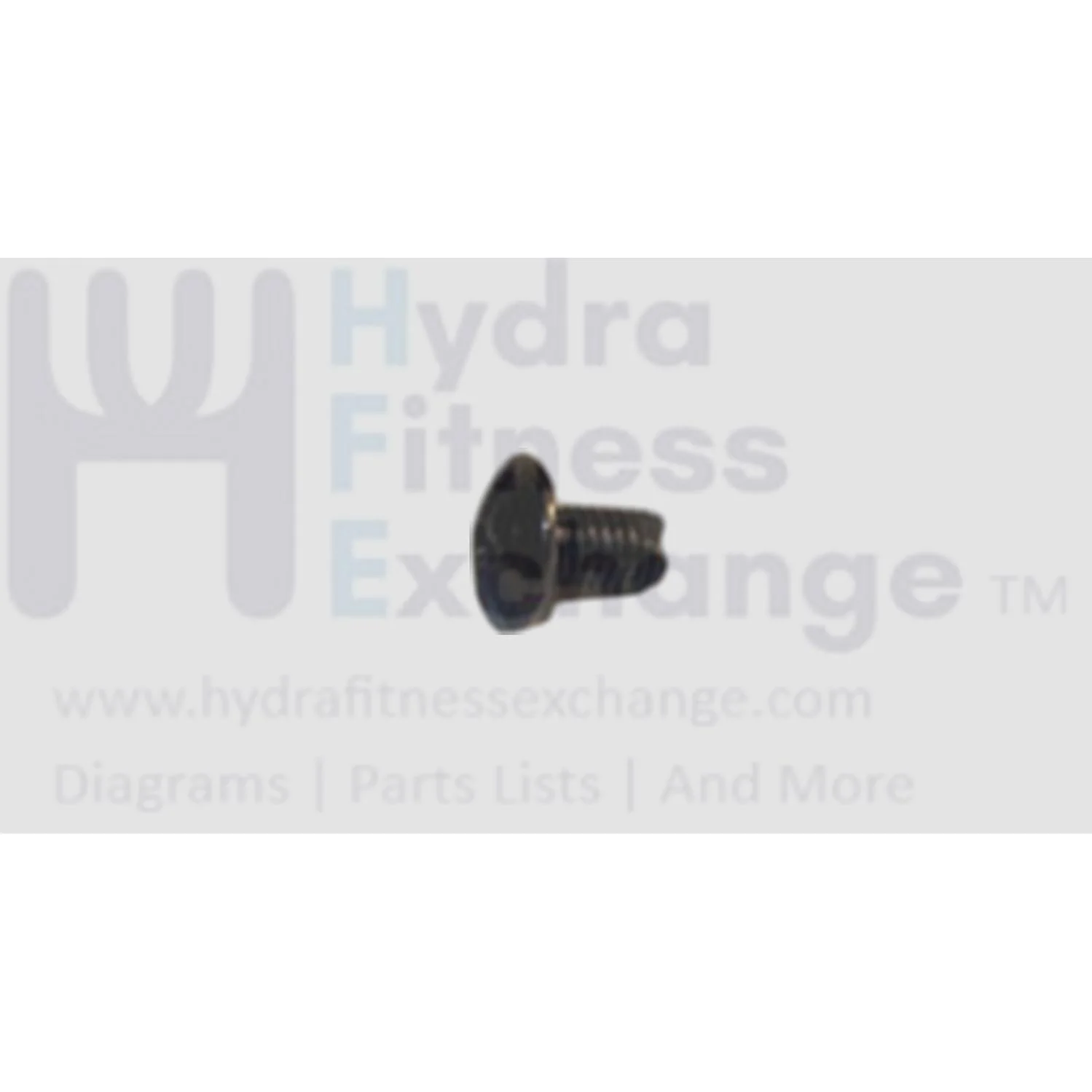 Matrix Fitness Treadmill Button Head Phillip Screw M5 - 0.8P x 8L 004376-00