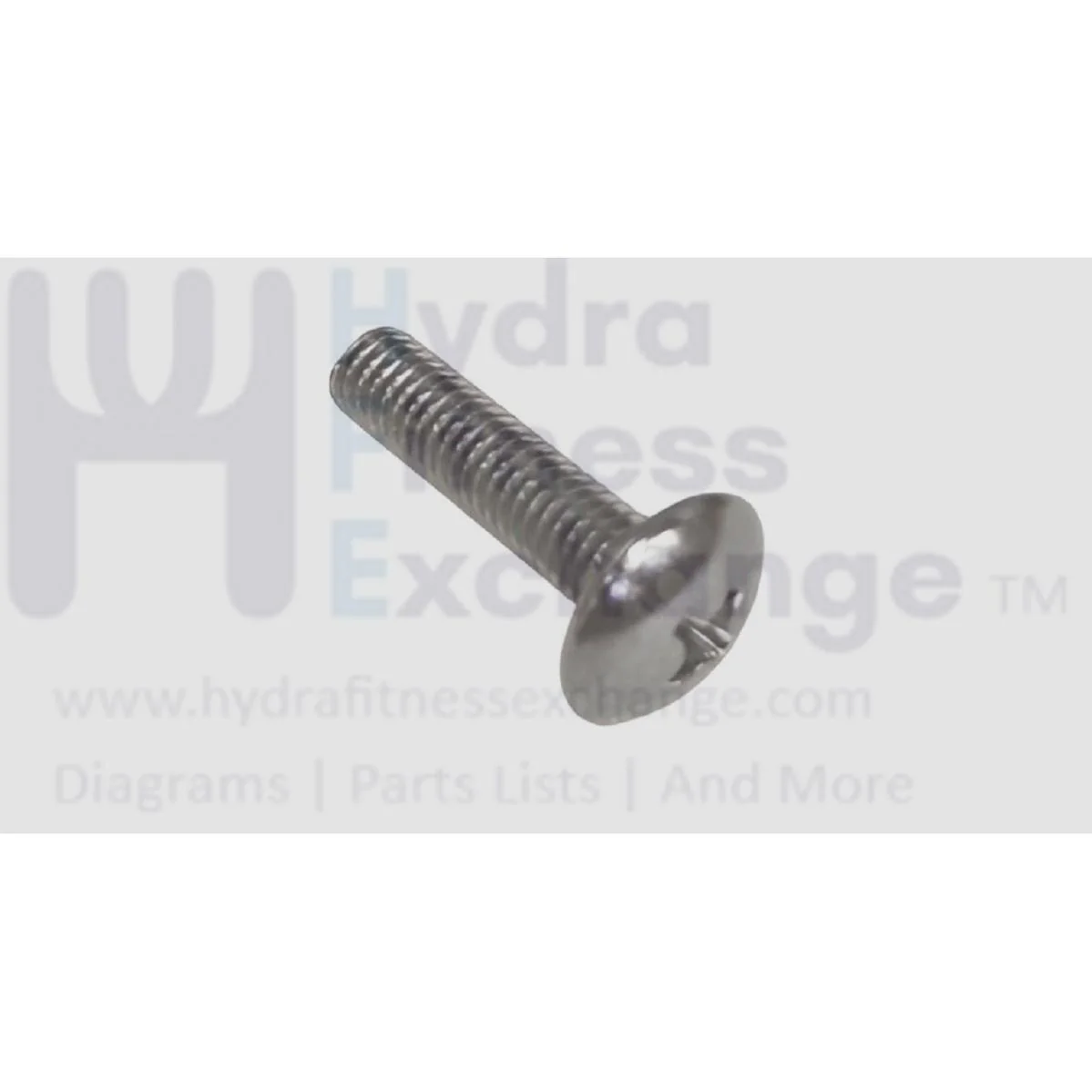 Matrix Fitness Treadmill Button Head Phillip Screw M5 x 20L 004368-AB