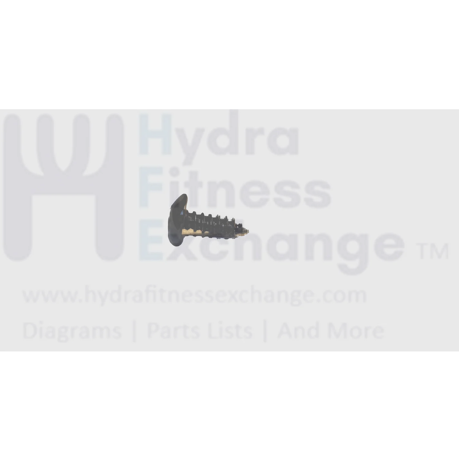 Matrix Fitness Treadmill Button Head Screw 3 x 10L 004614-00