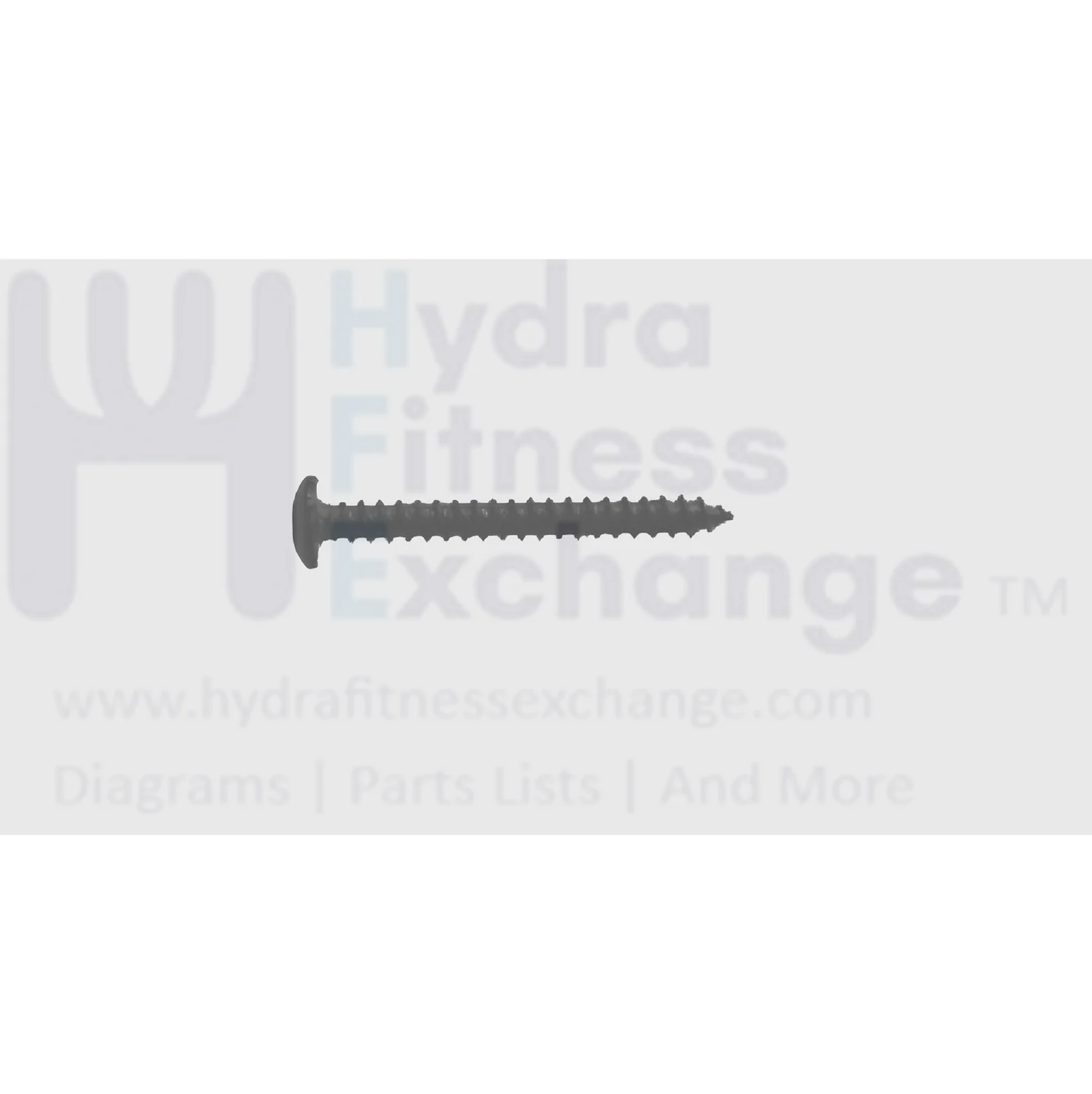 Matrix Fitness Treadmill Button Head Screw 4 x 38L 020183-00