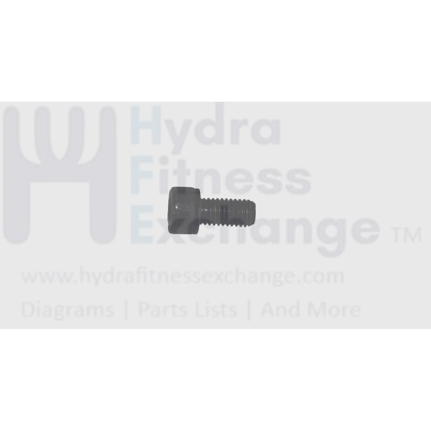 Matrix Fitness Treadmill Head Socket Screw M8 - 1.25P x 16L 1000226252