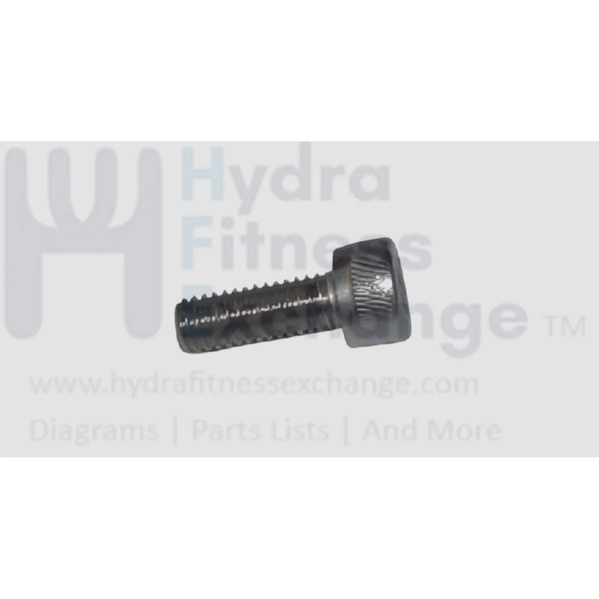 Matrix Fitness Treadmill Hex Head Socket Screw M6 - 1.0P x 15L 1000375825