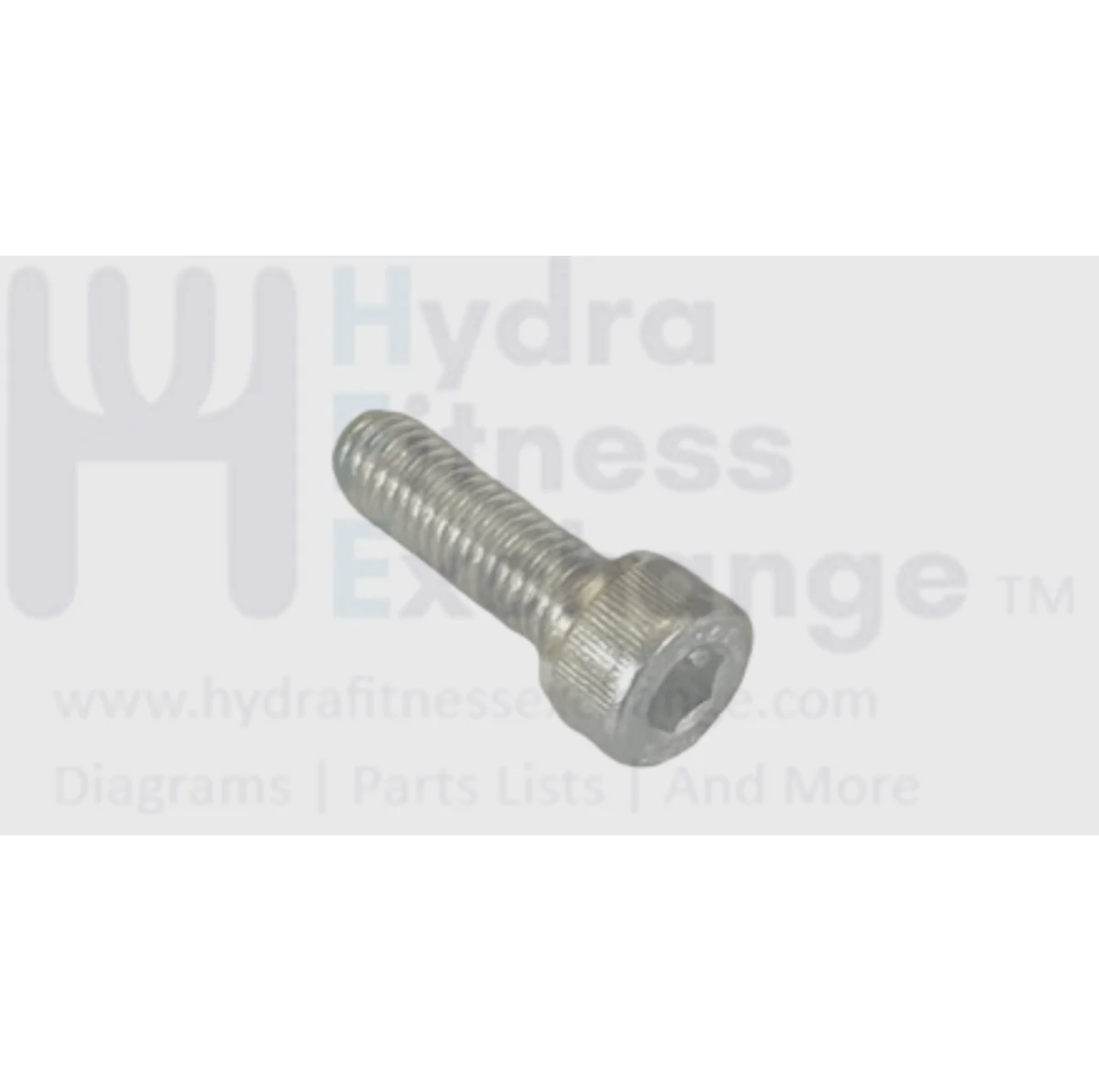 Matrix Fitness Treadmill Hex Head Socket Screw M8 - 1.25P x 25L 1000414743