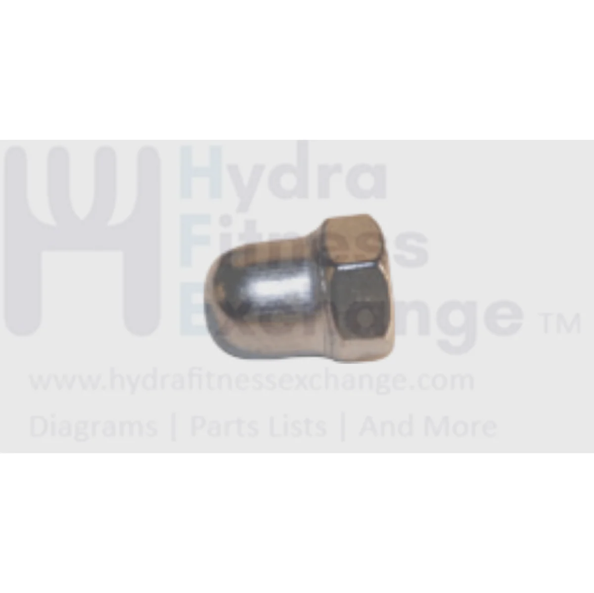 Matrix Fitness Treadmill Hex Nut Cap M8 x 1.25P 004918-00