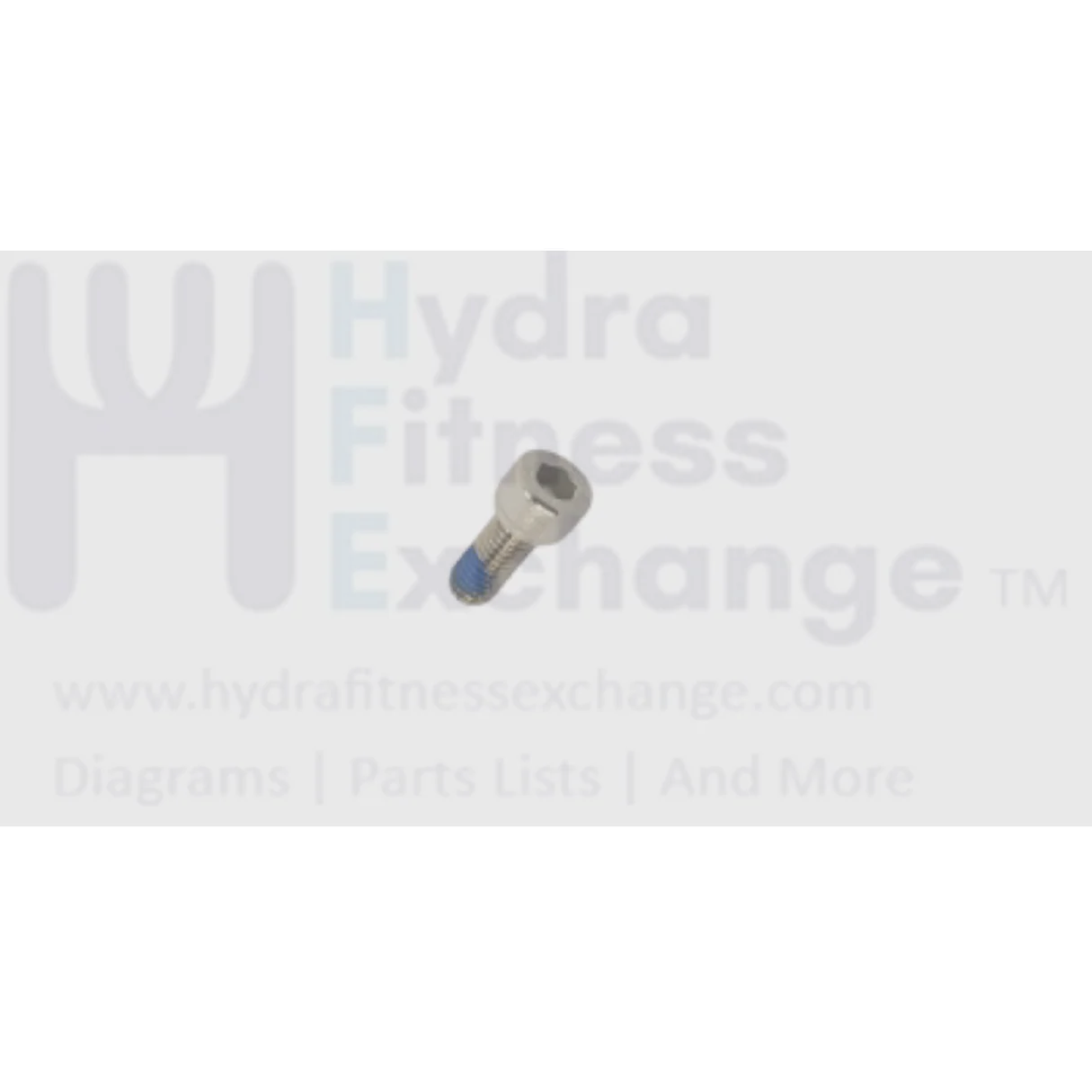 Matrix Fitness Treadmill Hex Socket Head Screw M8 - 1.25P x 20L 1000402109