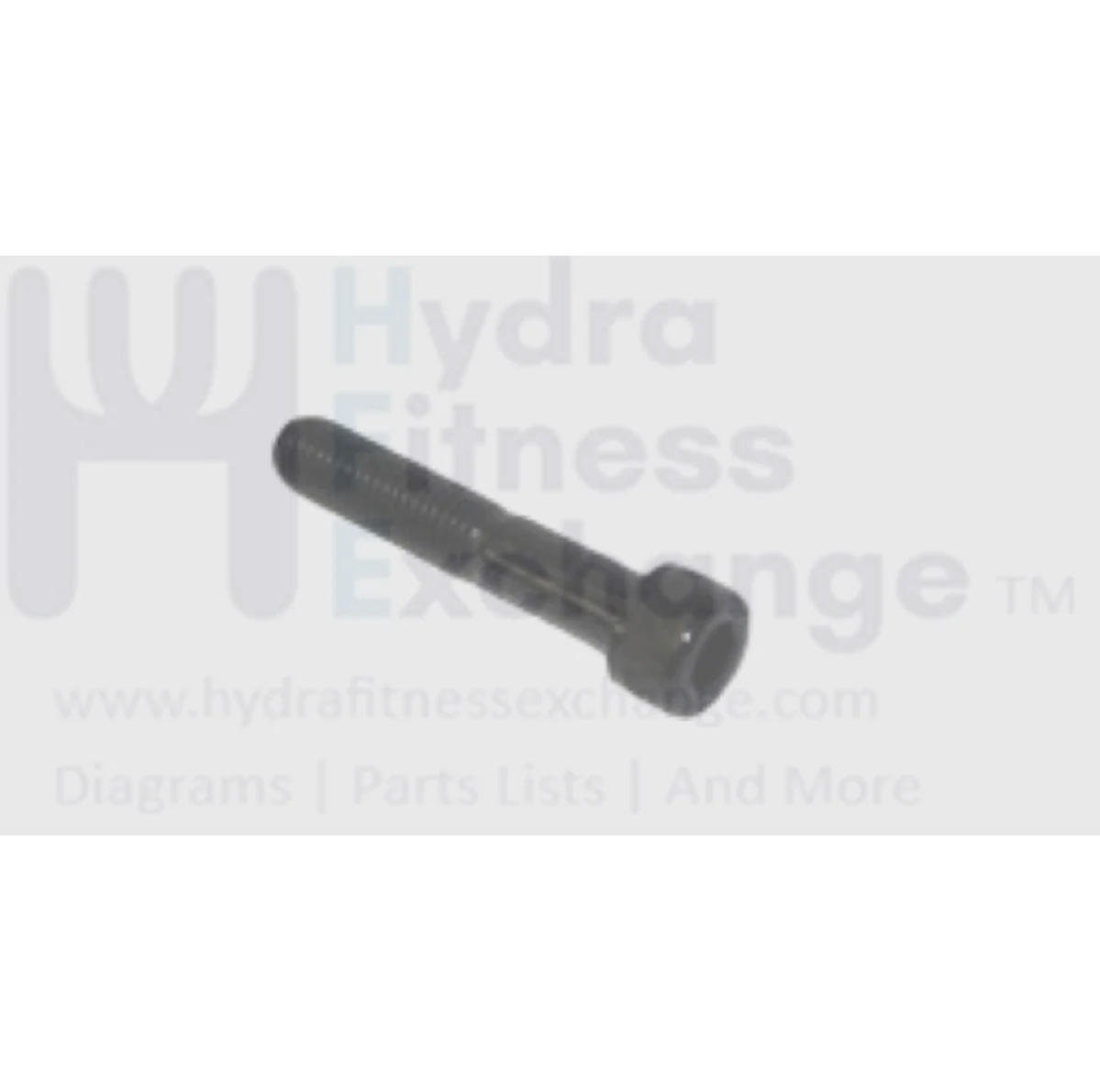 Matrix Fitness Treadmill Hex Socket Head Screw M10 -1.5P x 55L 004549-AC