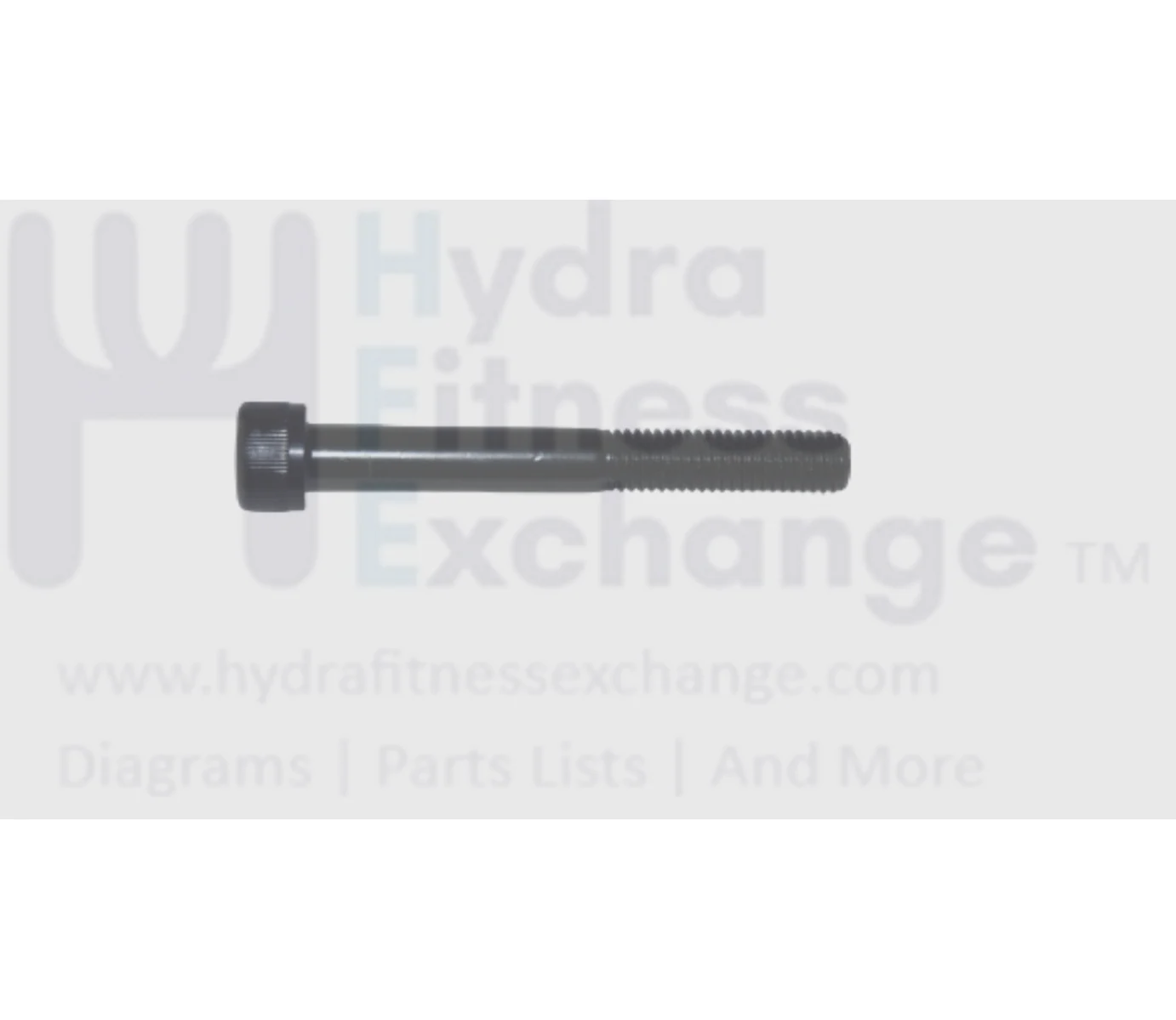 Matrix Fitness Treadmill Hex Socket Head Screw M10- 1.5P x 80-30L 004519-AD