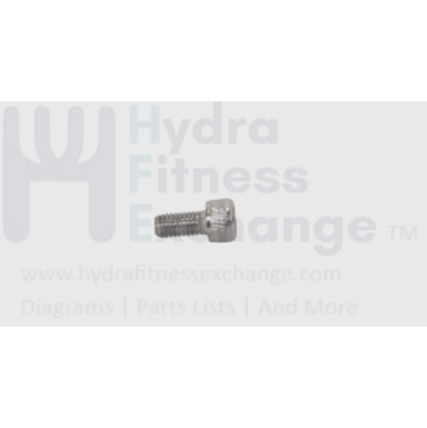Matrix Fitness Treadmill Hex Socket Screw M6-1.0P x 12L 1000402134