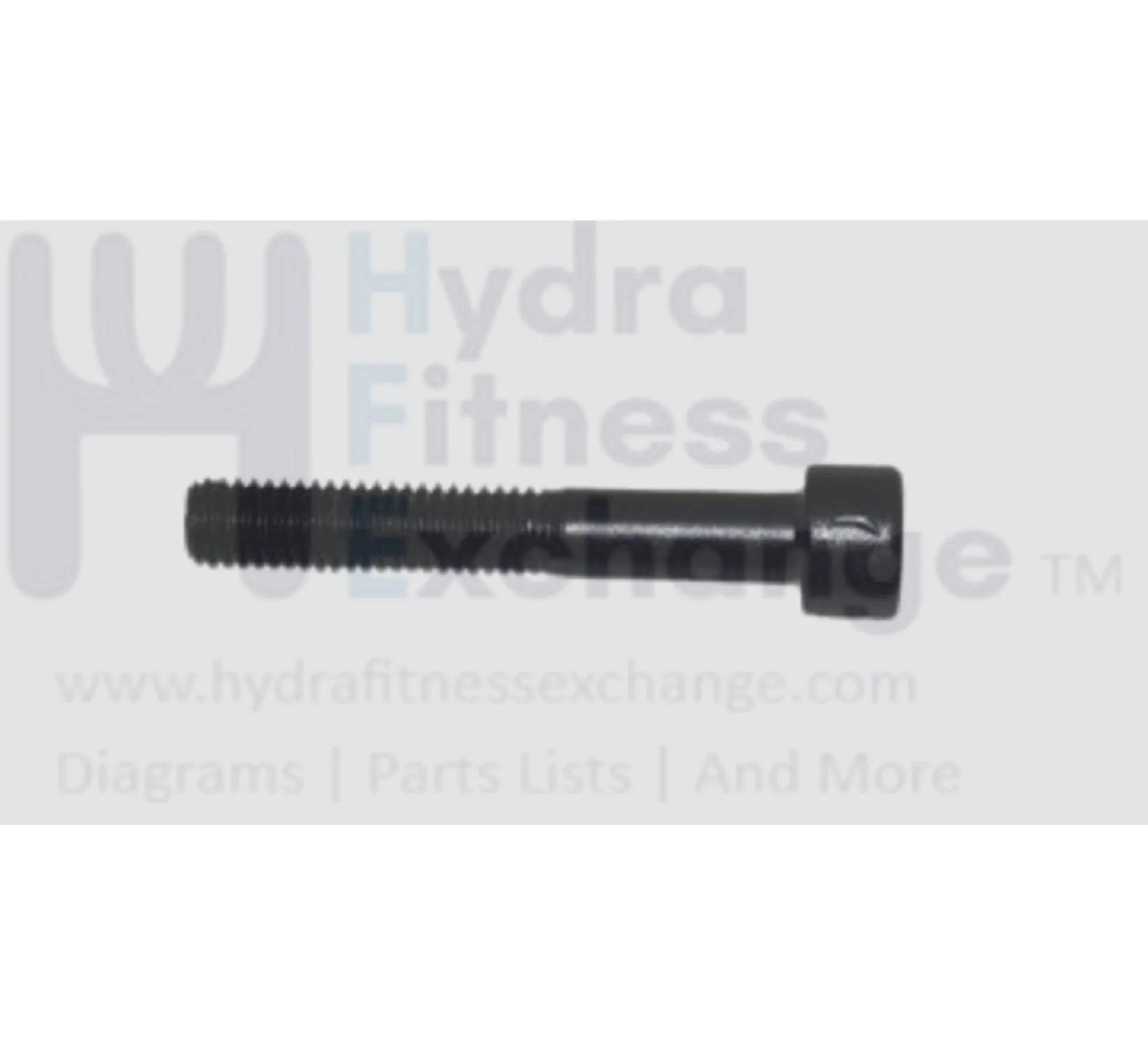 Matrix Fitness TM529 TM702 TM700 TM533 TM535C TM534 CB91C CB209 TM776 TM538 Treadmill Round Head Hex Socket Screw M8 - 1.25P x 50L /30L 004484-00
