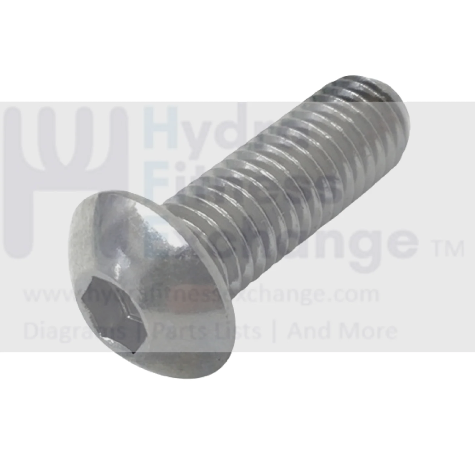 Matrix Fitness Treadmill Oval Hex Socket Screw M10x1.5Px30L 004779-00