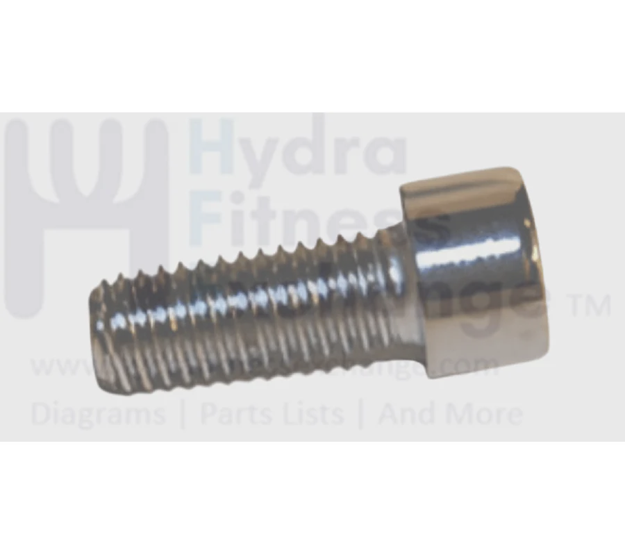 Matrix Fitness Treadmill Round Head Hex Socket Screw M10 - 1.25P x 20L 020090-00