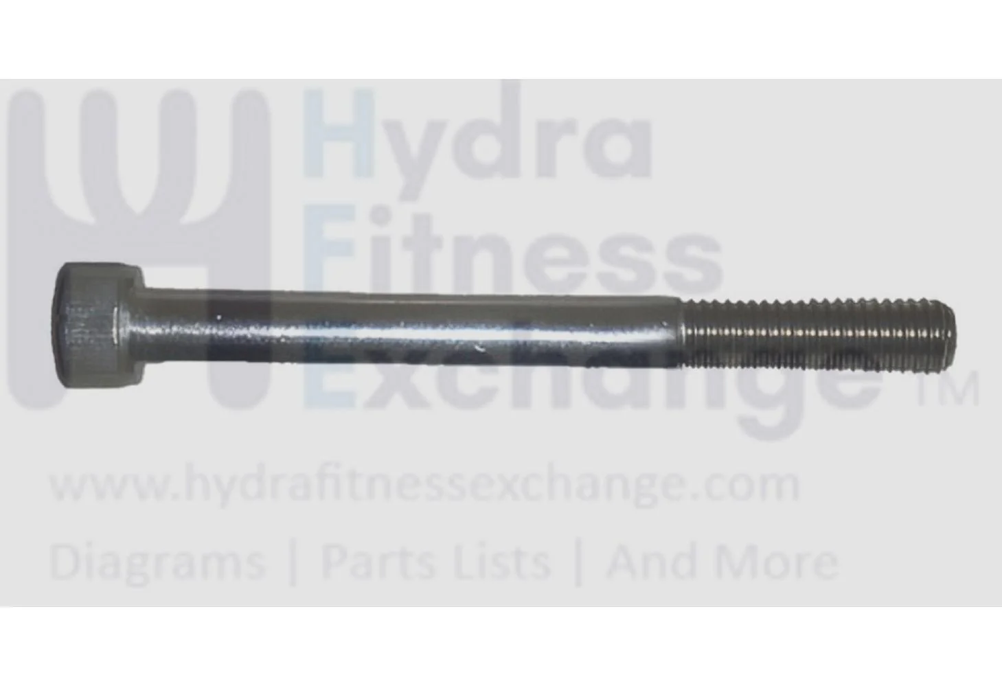 Matrix Fitness Treadmill Round Head Hex Socket Screw M10 - 1.5P x 100/35L 1000364046