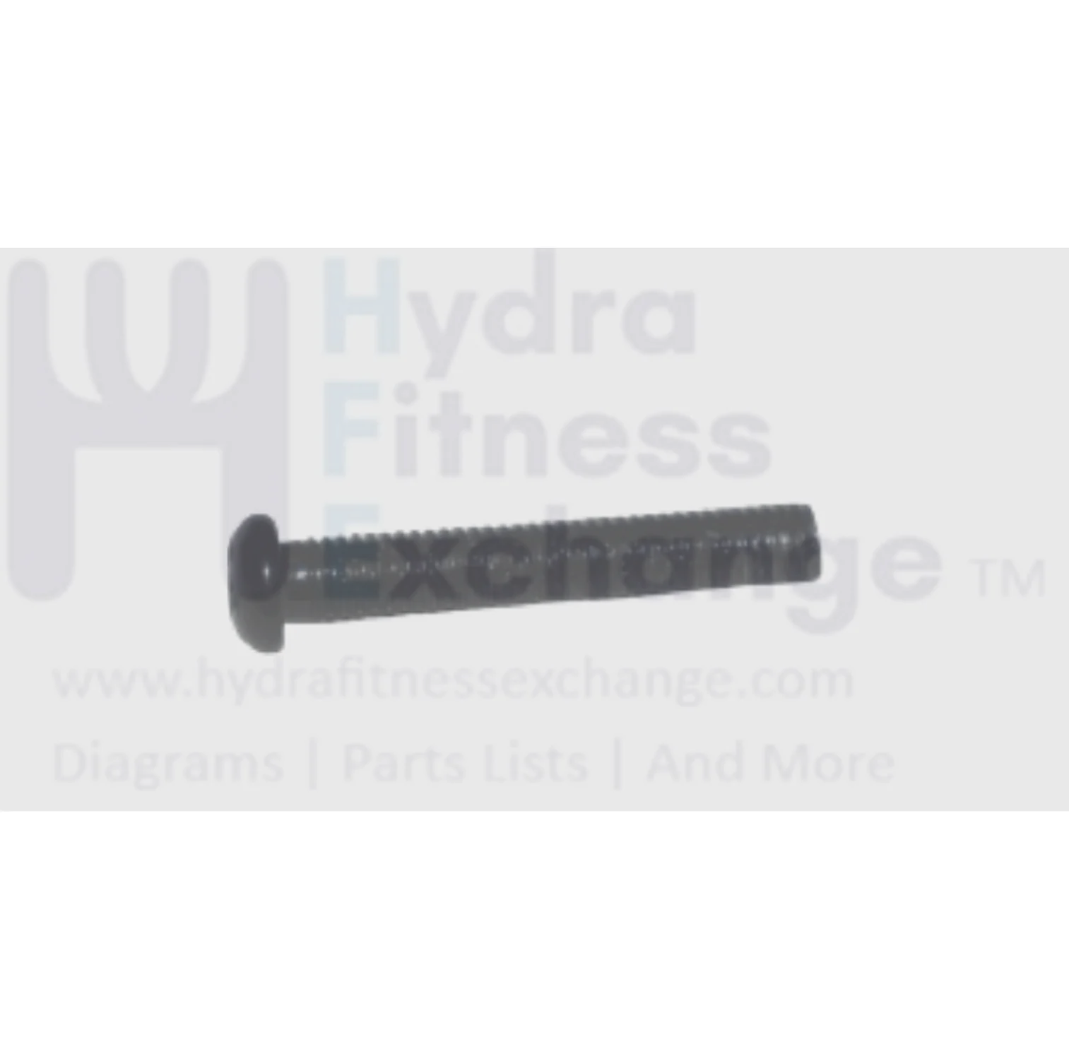 Matrix Fitness Treadmill Round Head Phillip Screw M5 - 0.8P x 30L 1000376066
