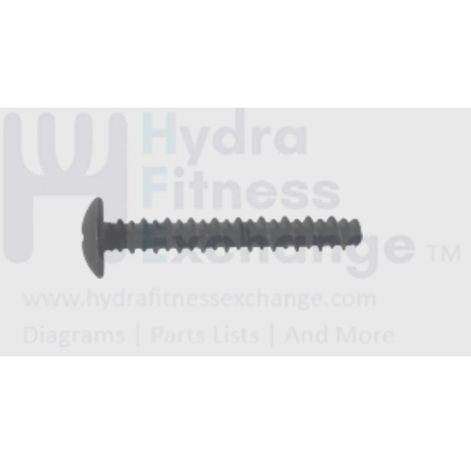 Matrix Fitness Treadmill Round Head Phillip Screw p5 x 1.6P x 35L 1000231688