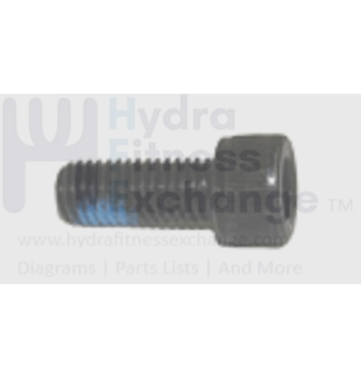 Matrix Fitness Treadmill Round Hex Head Socket Screw M10x1.5x25mm 0000095368