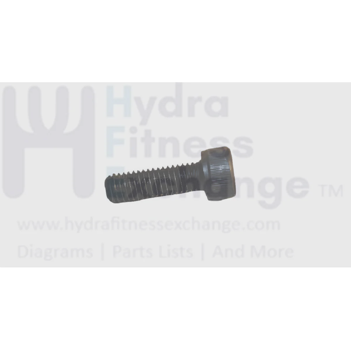 Matrix Fitness Treadmill Round Hex Socket Screw M5 - 0.8P x 16L 004452-00