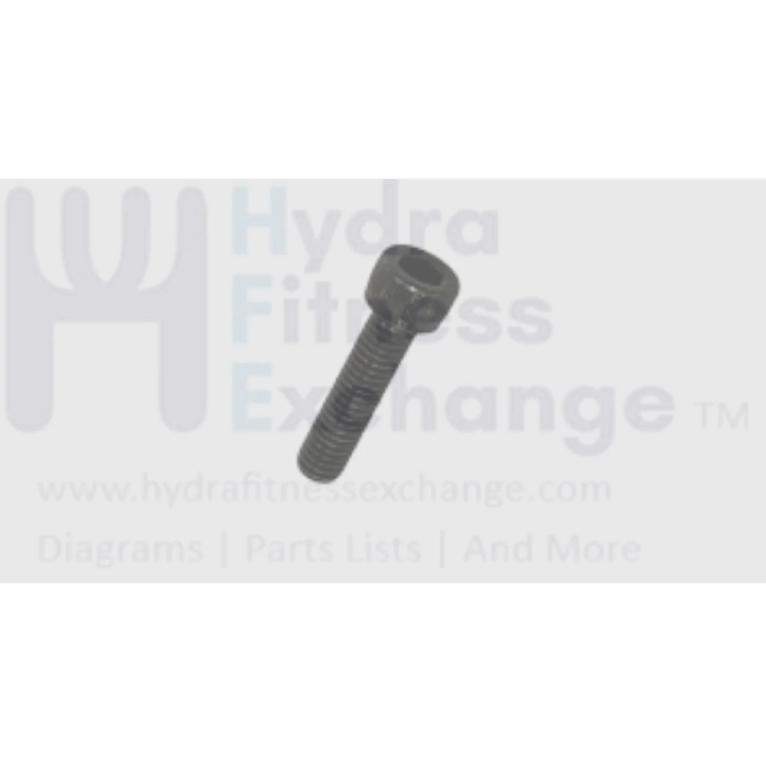 Matrix Fitness Treadmill Socket Head Screw M6 - 1.0P x 25L 004468-AD