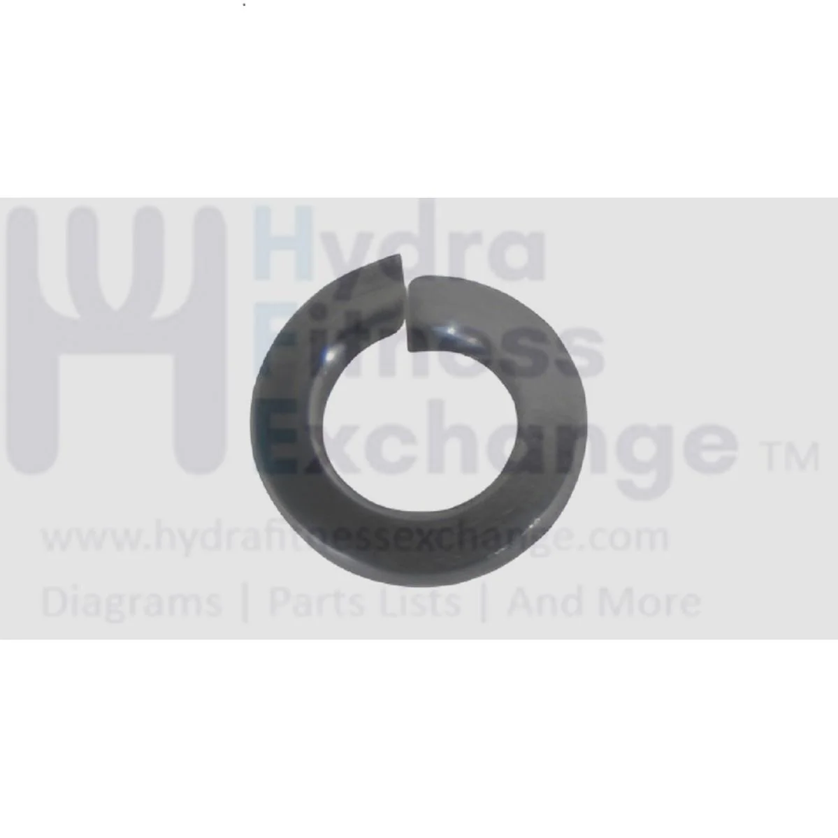 Matrix Fitness Treadmill Spring Lock Washer 8.0 x 13.0 x 2.0t 1000364334