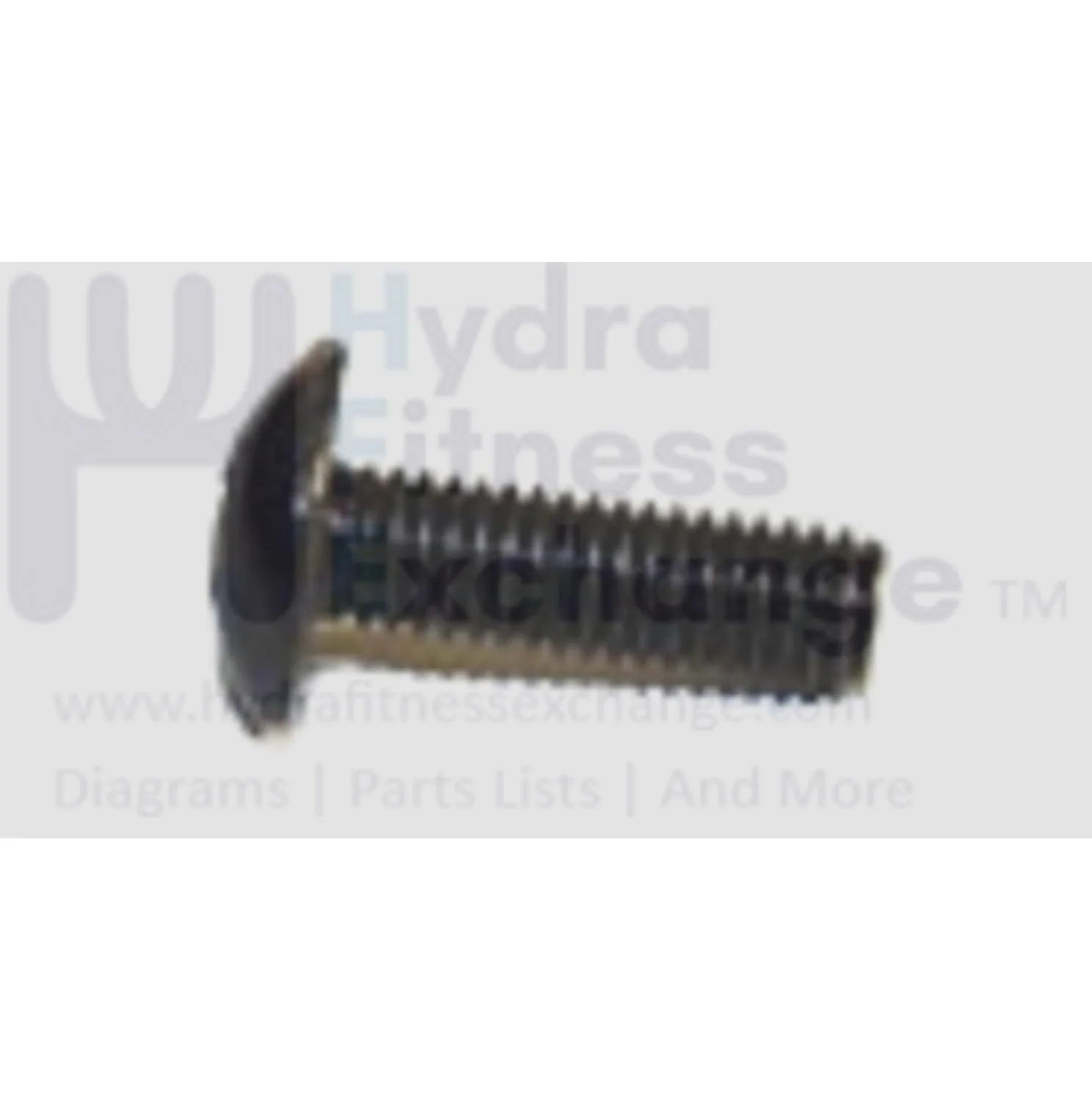 Matrix Fitness Upright Bike Button Head Phillip Screw M5 - 0.8P x 15L 004375-AC