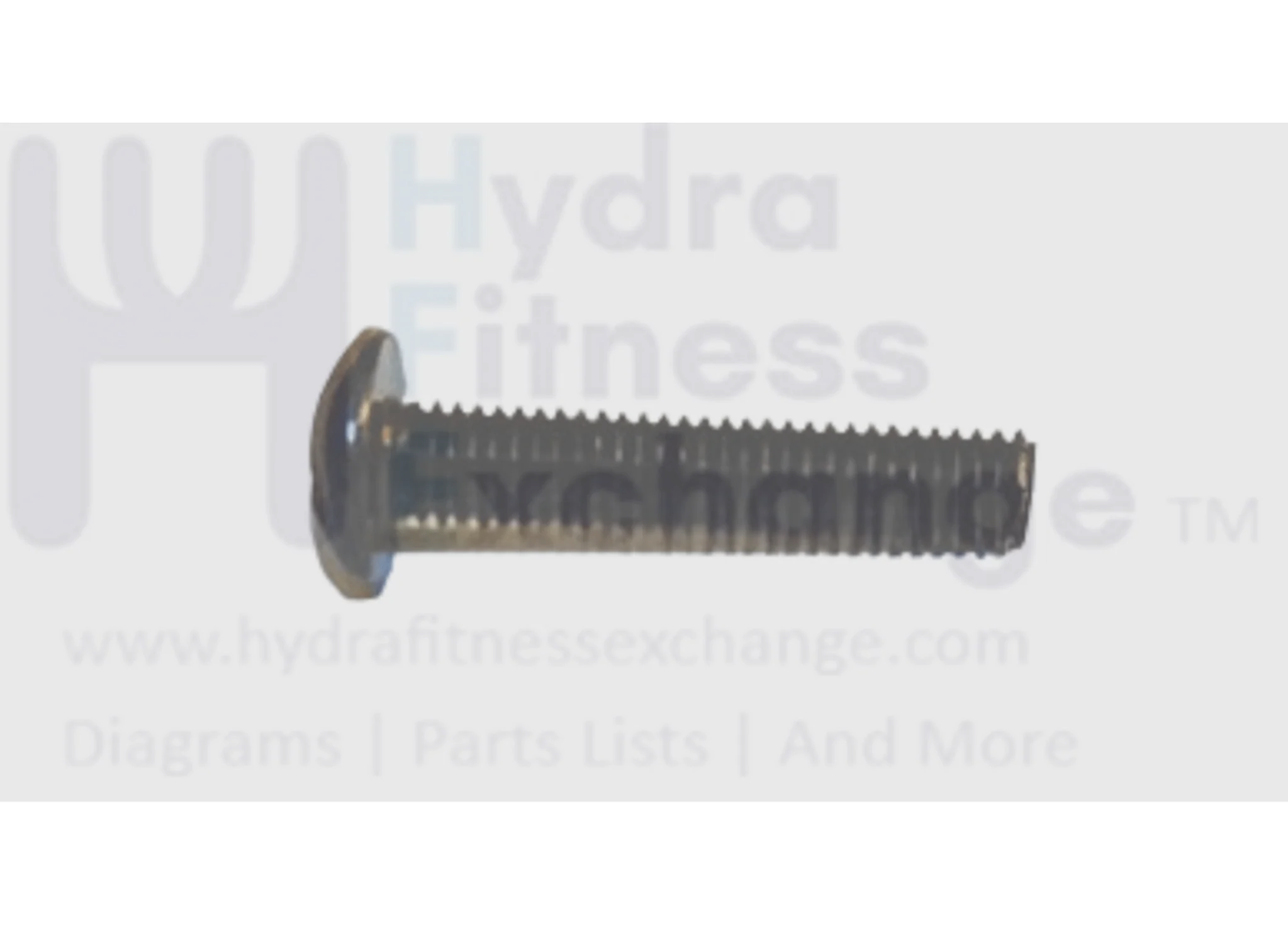 Matrix Fitness Upright Bike Button Head Phillip Screw M5 - 0.8P x 25L 004371-00