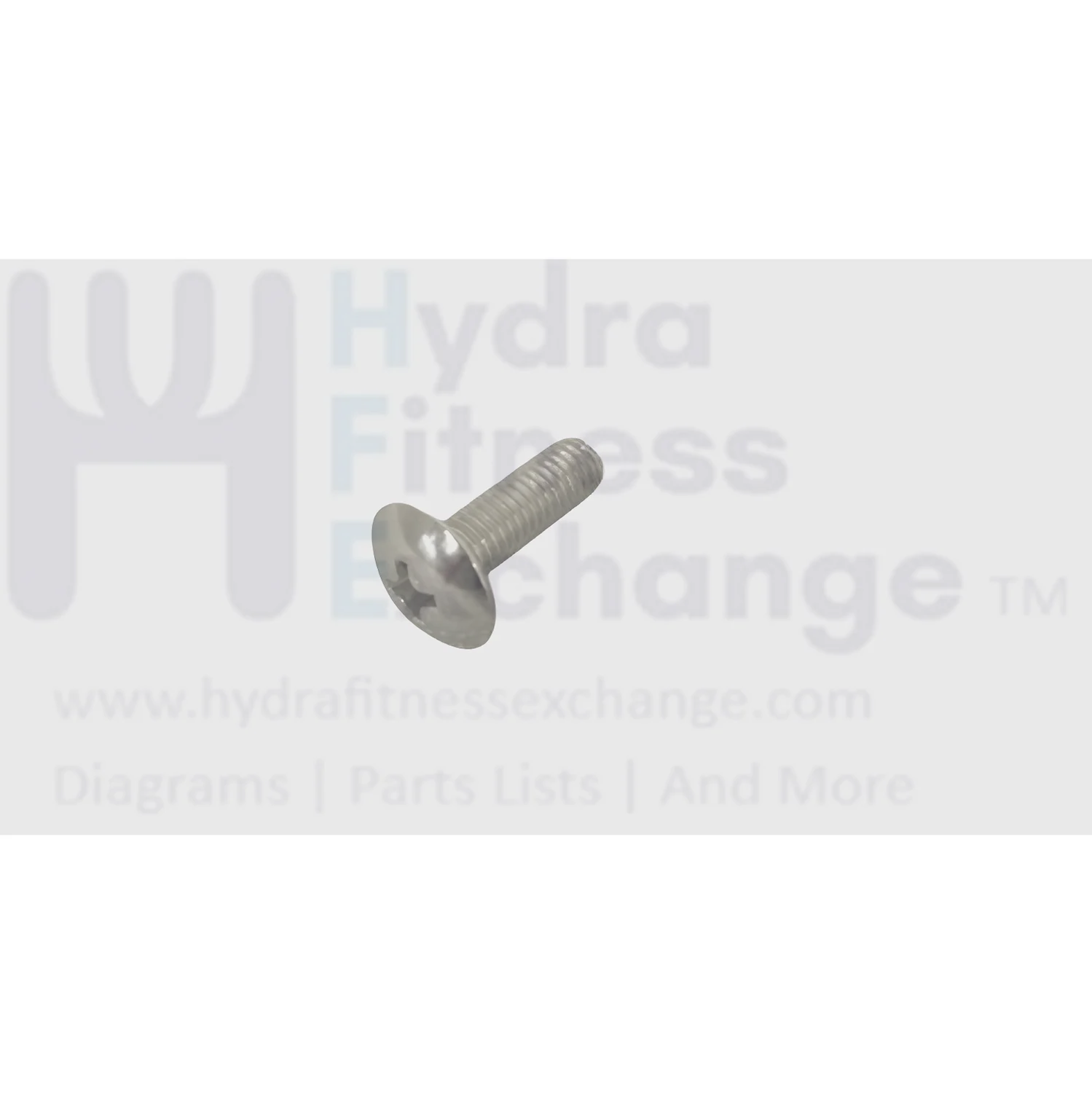 Matrix Fitness Upright Bike Button Head Screw M5 - 0.8P x 15L 1000372129
