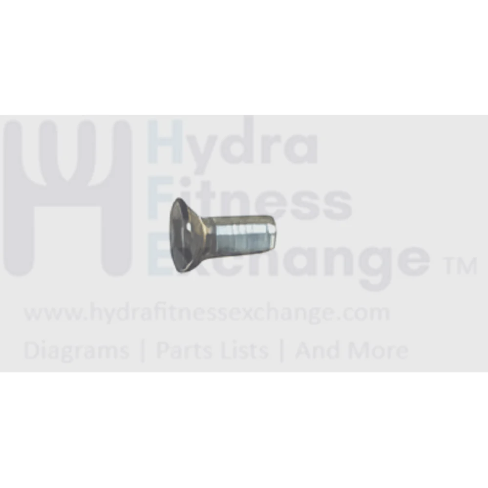 Matrix Fitness Upright Bike Flat Head Phillips Screw M4 - 0.7P x 10L 004433-00