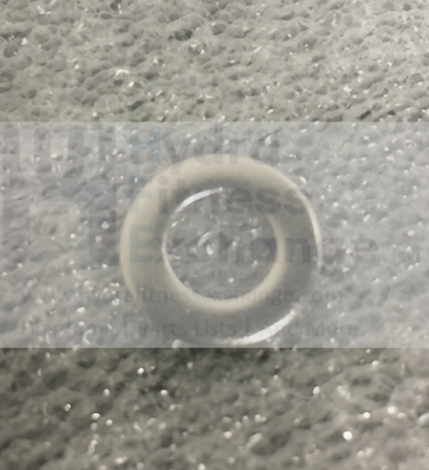 Matrix Fitness Upright Bike Flat Washer 8.2 x 16.0 x 2.0t 1000230019 - Image 2